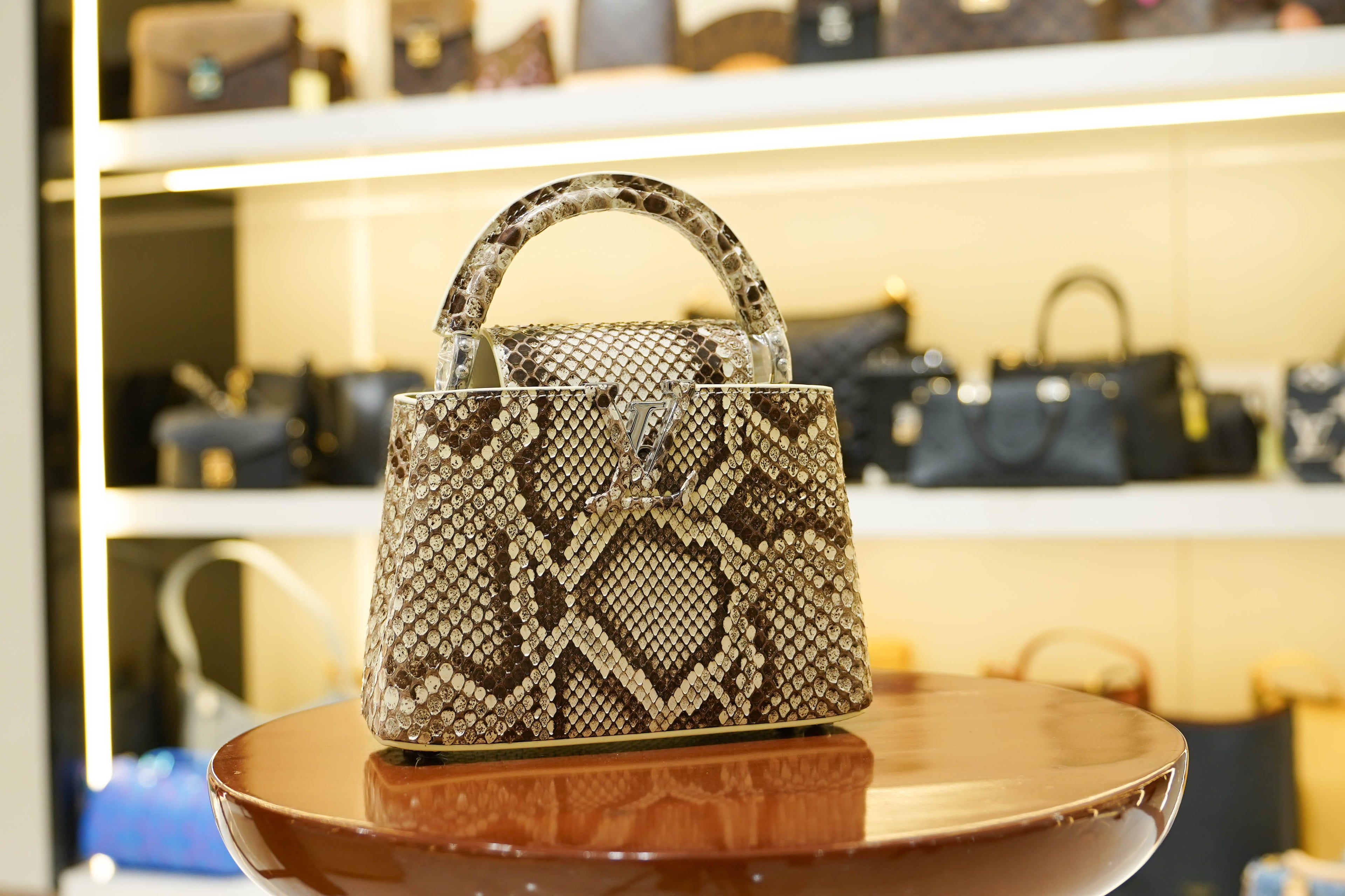 Louis Vuitton | Capucines Medium – Python – Brown – Silver Hardware