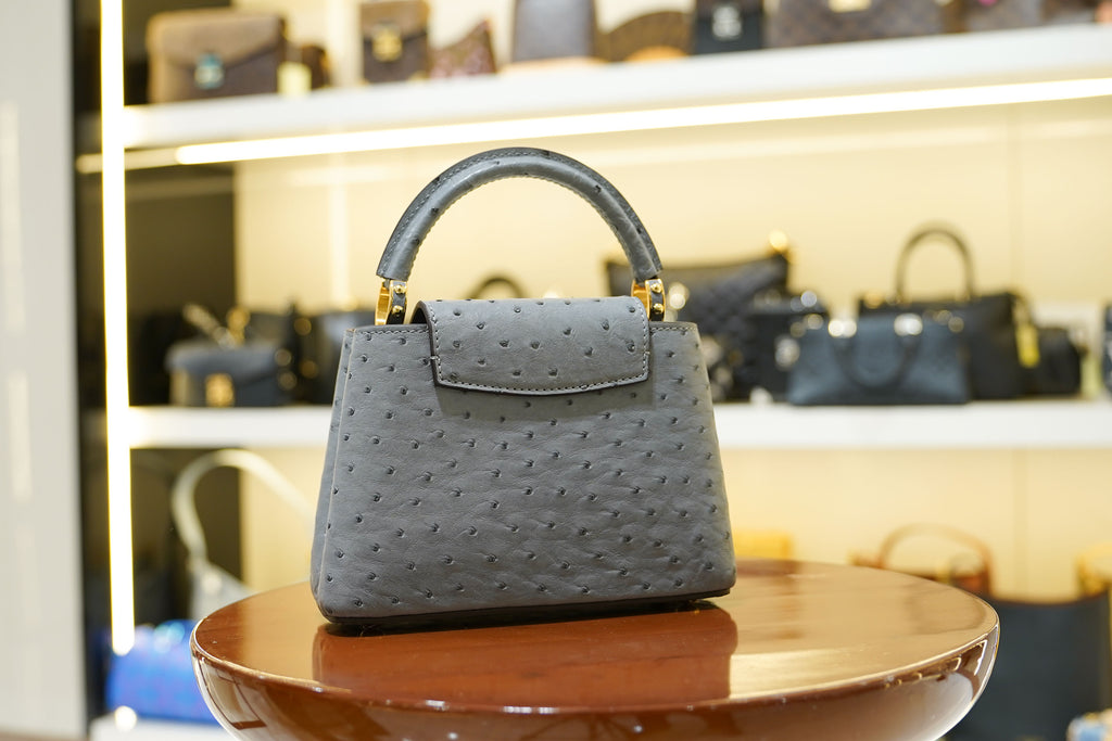 Louis Vuitton | Capucines Medium – Ostrich Leather – Grey – Gold Hardware