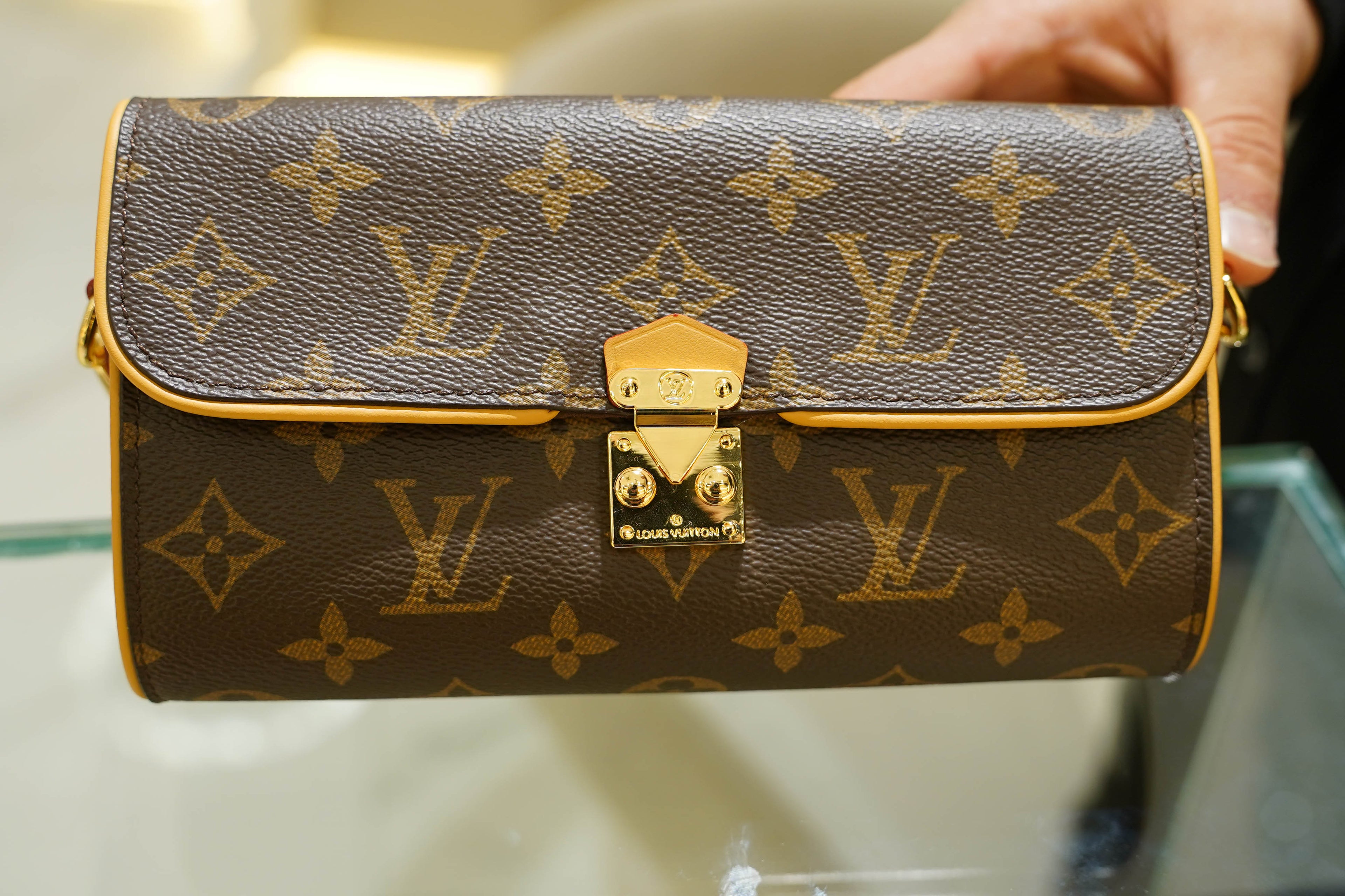 Louis Vuitton | Twist – Canvas – Brown – Gold Hardware