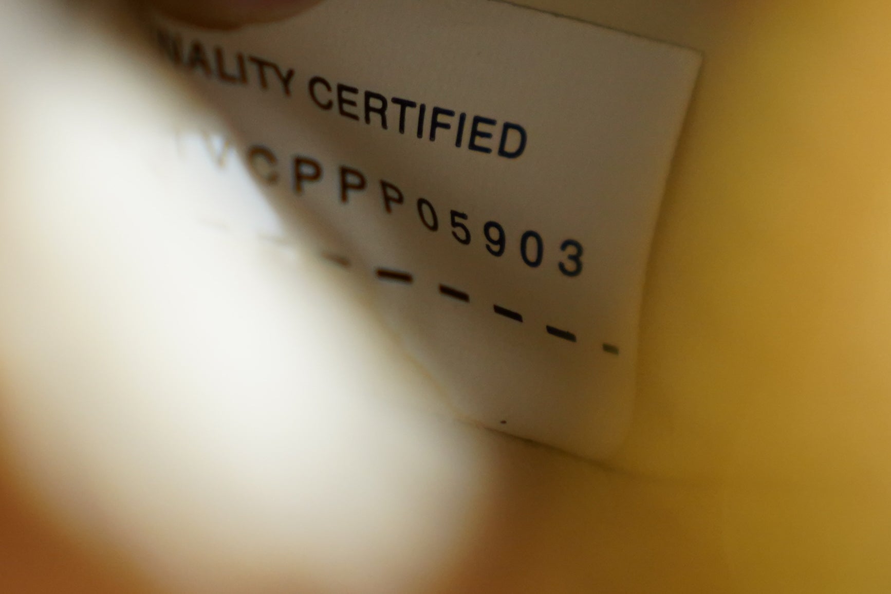 Bottega Veneta | Jodie – Leather – Gold – Gold Hardware