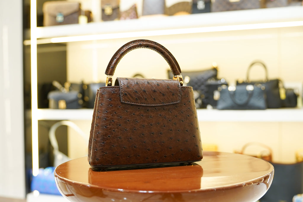 Louis Vuitton | Capucines Medium – Ostrich Leather – Brown – Gold Hardware