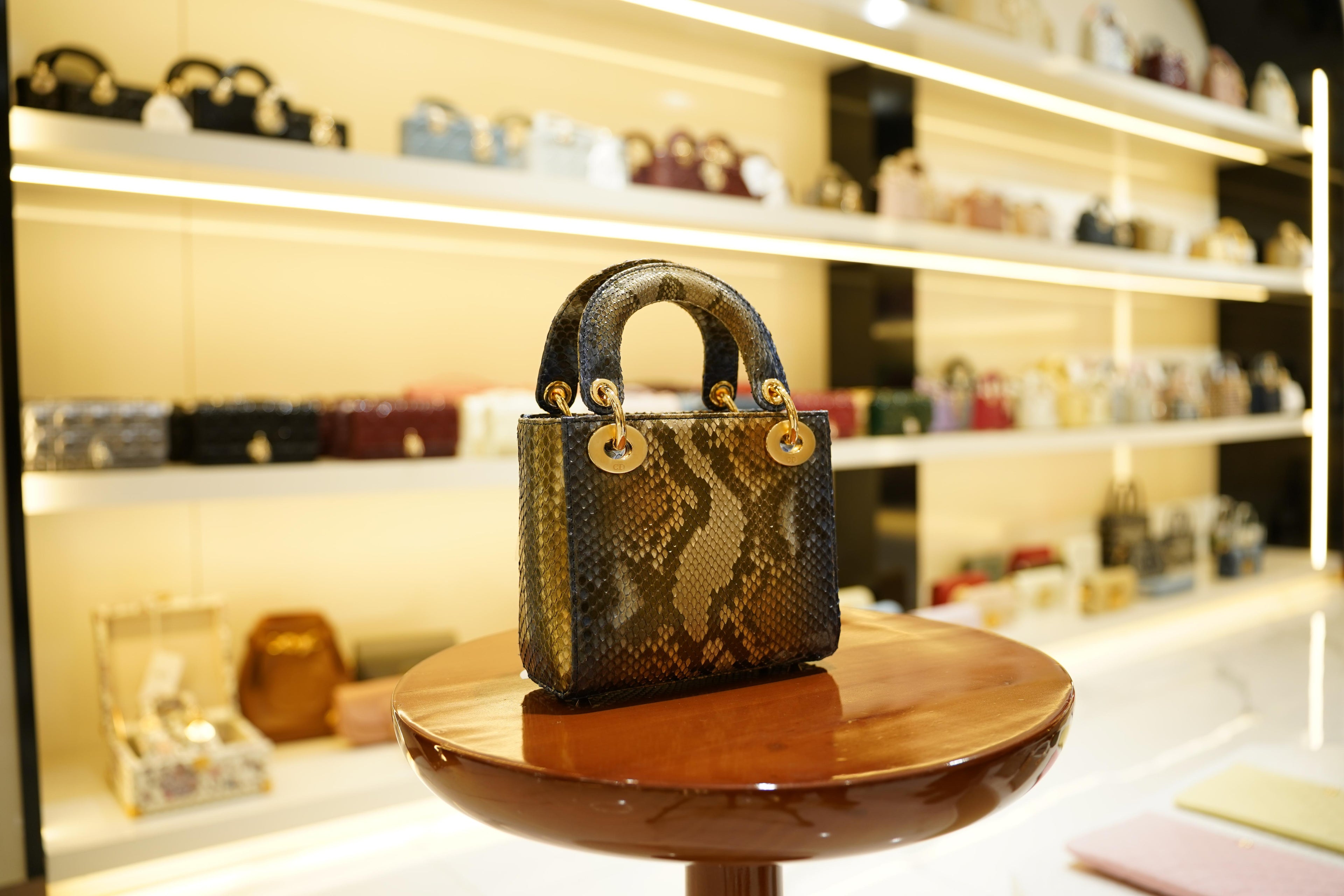 Dior | Lady Dior (Small) – Python – Multicolor – Gold Hardware