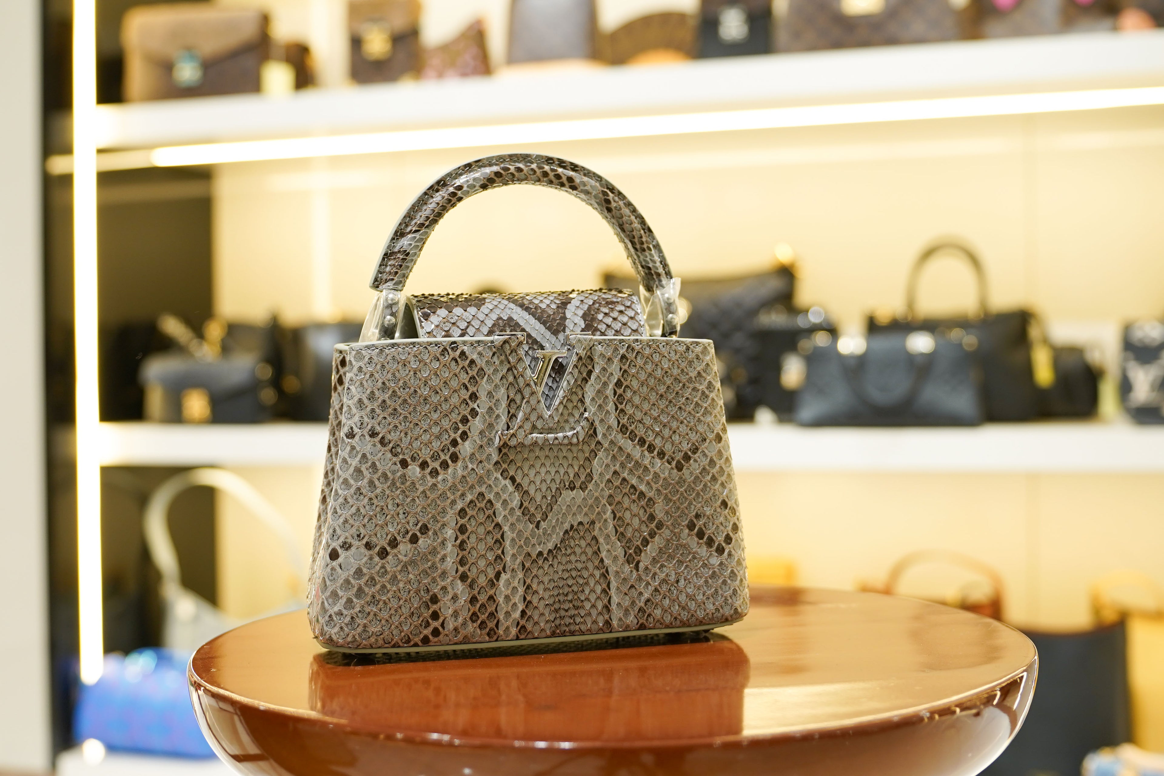Louis Vuitton | Capucines Medium – Python – Grey – Silver Hardware