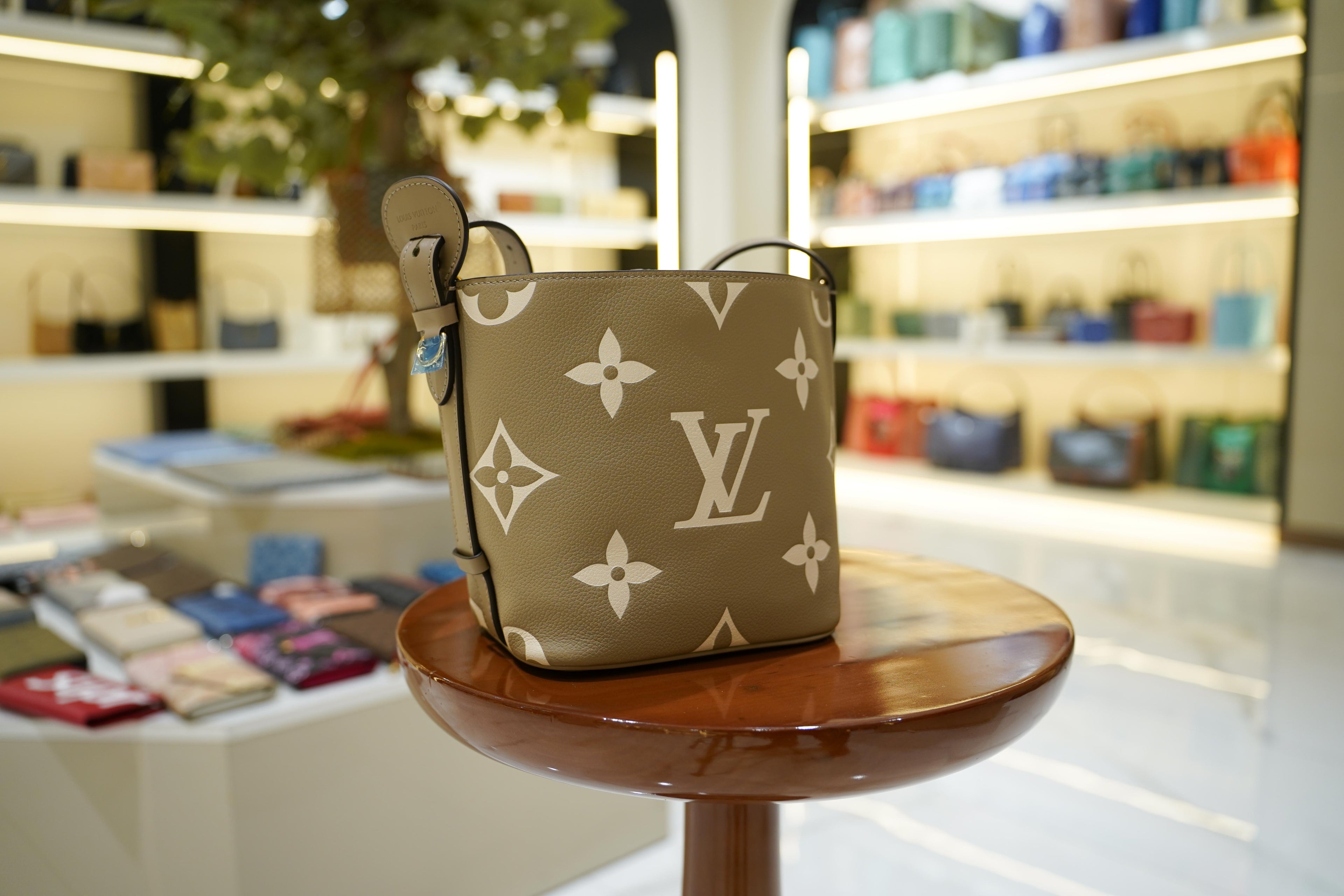 Louis Vuitton | Bucket Bag – Leather – Khaki – Gold Hardware