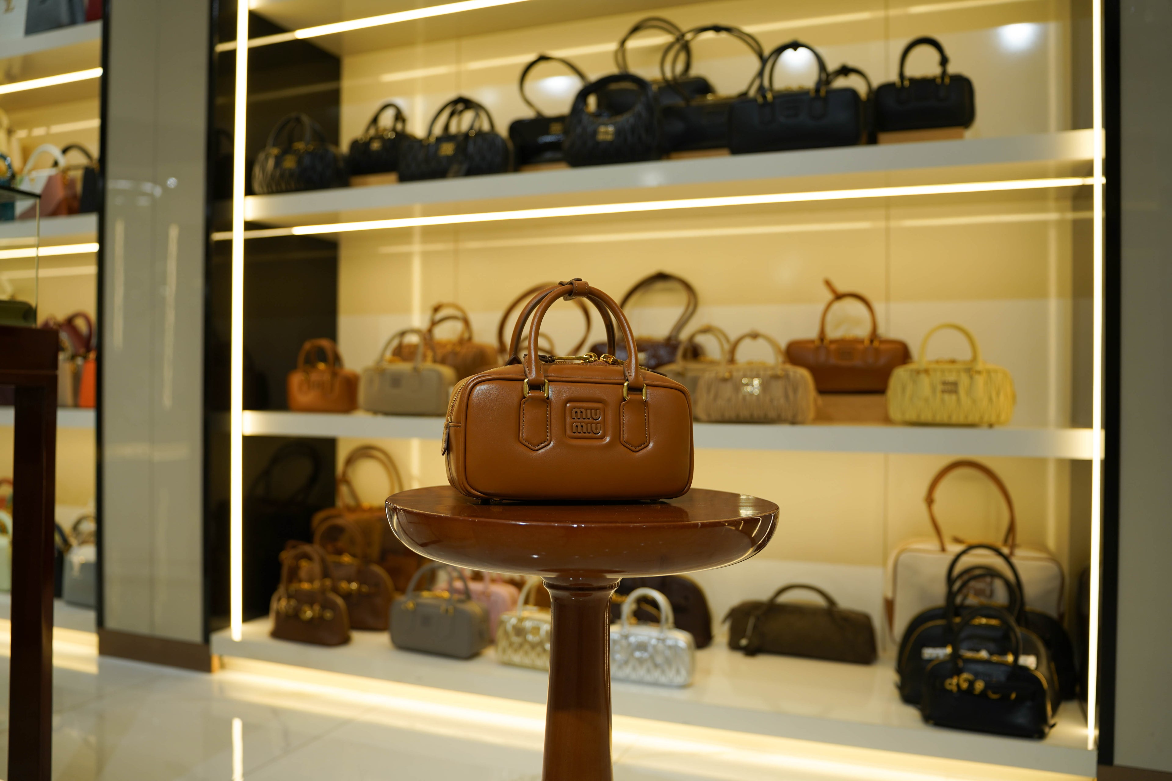 Miu Miu | Arcadie (Medium) – Leather – Brown – Gold Hardware