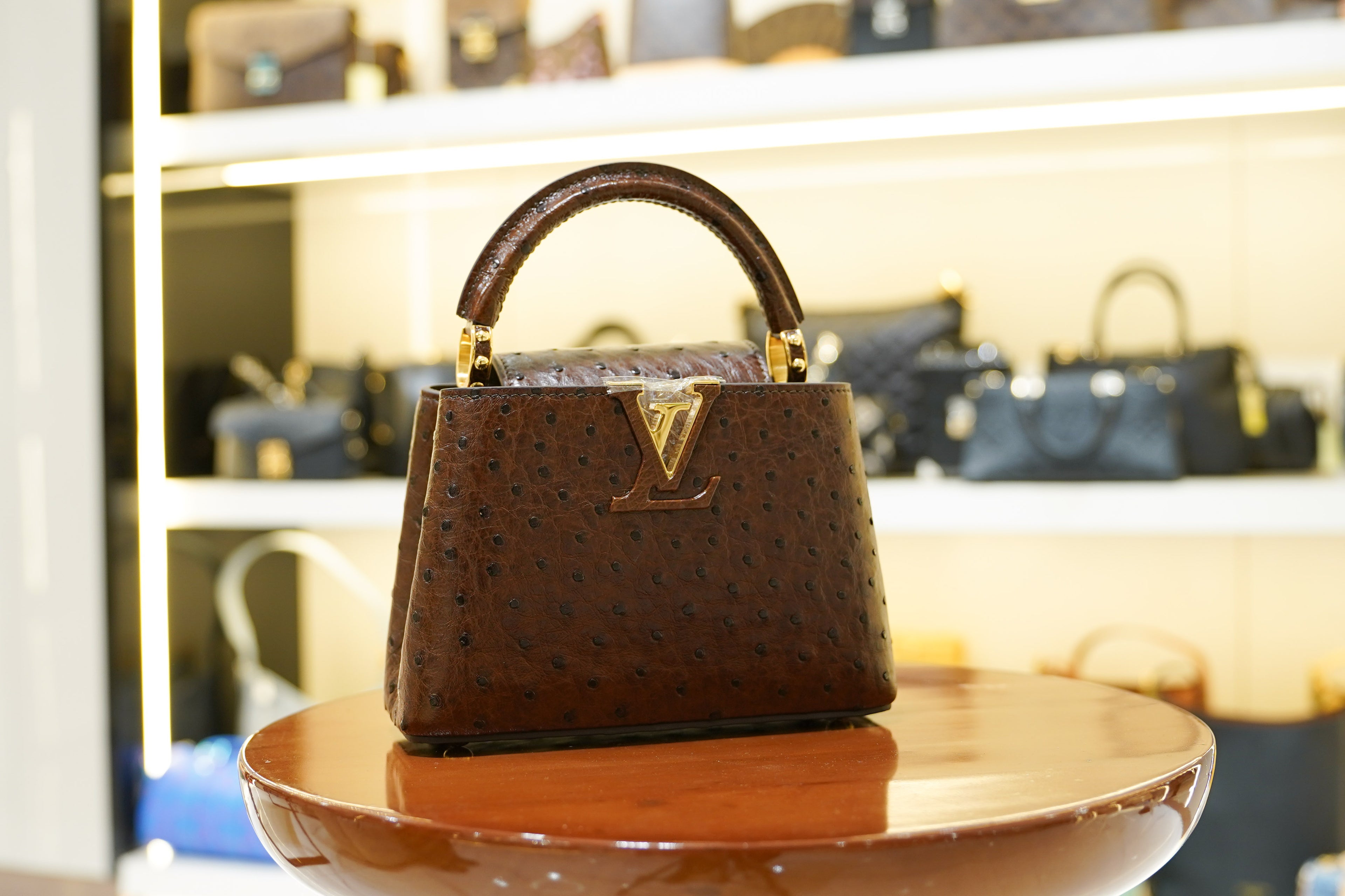 Louis Vuitton | Capucines Medium – Ostrich Leather – Brown – Gold Hardware