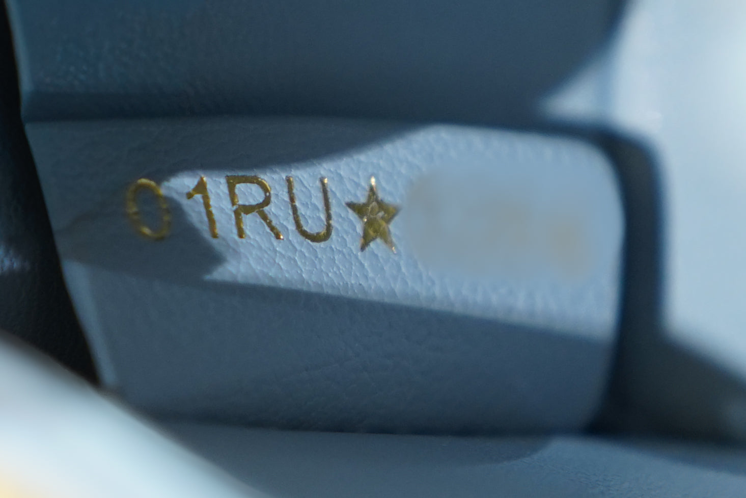 Dior | Miss Dior – Lambskin – Gray – Gold Hardware