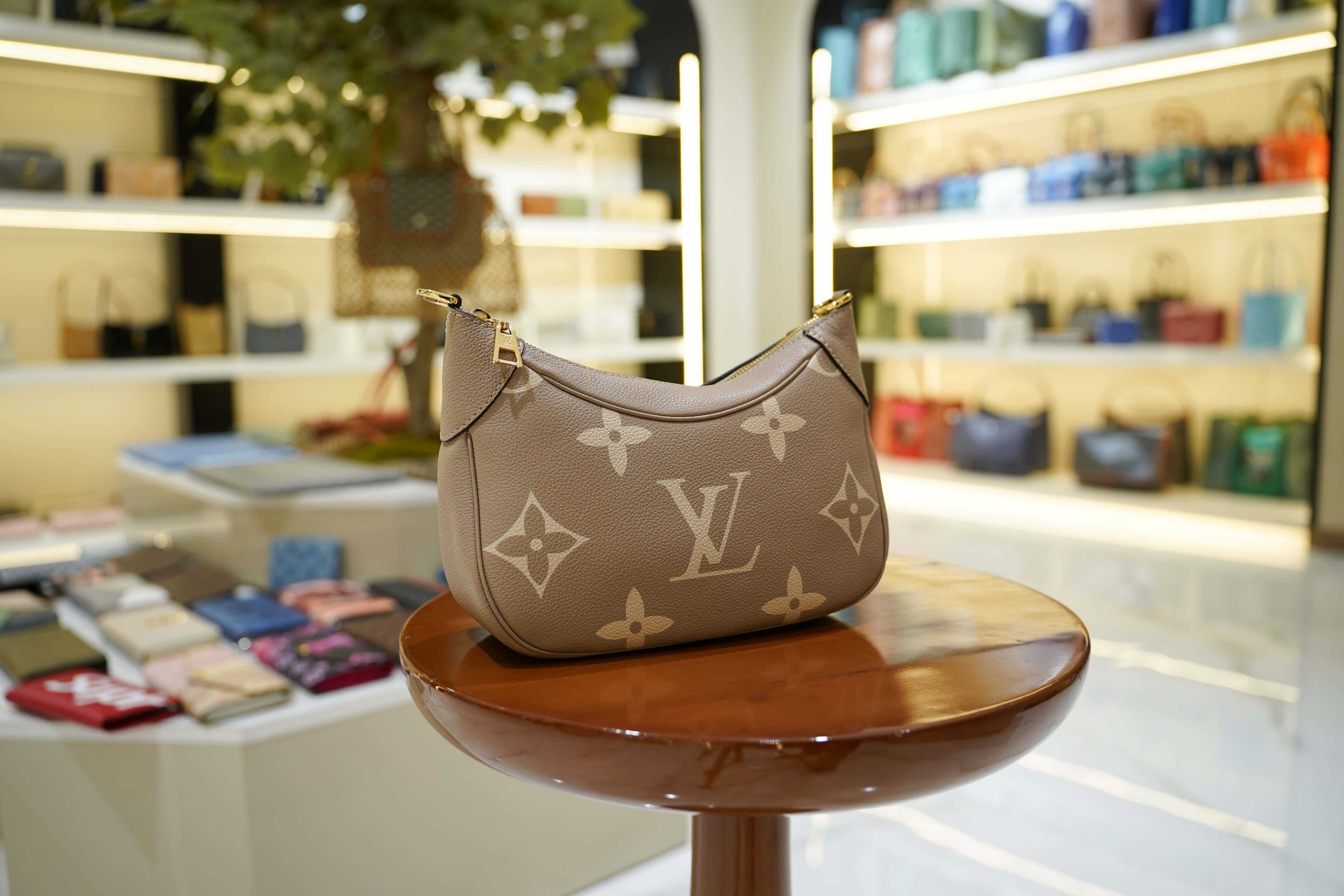 Louis Vuitton | Hobo Bag – Leather – Taupe – Gold Hardware