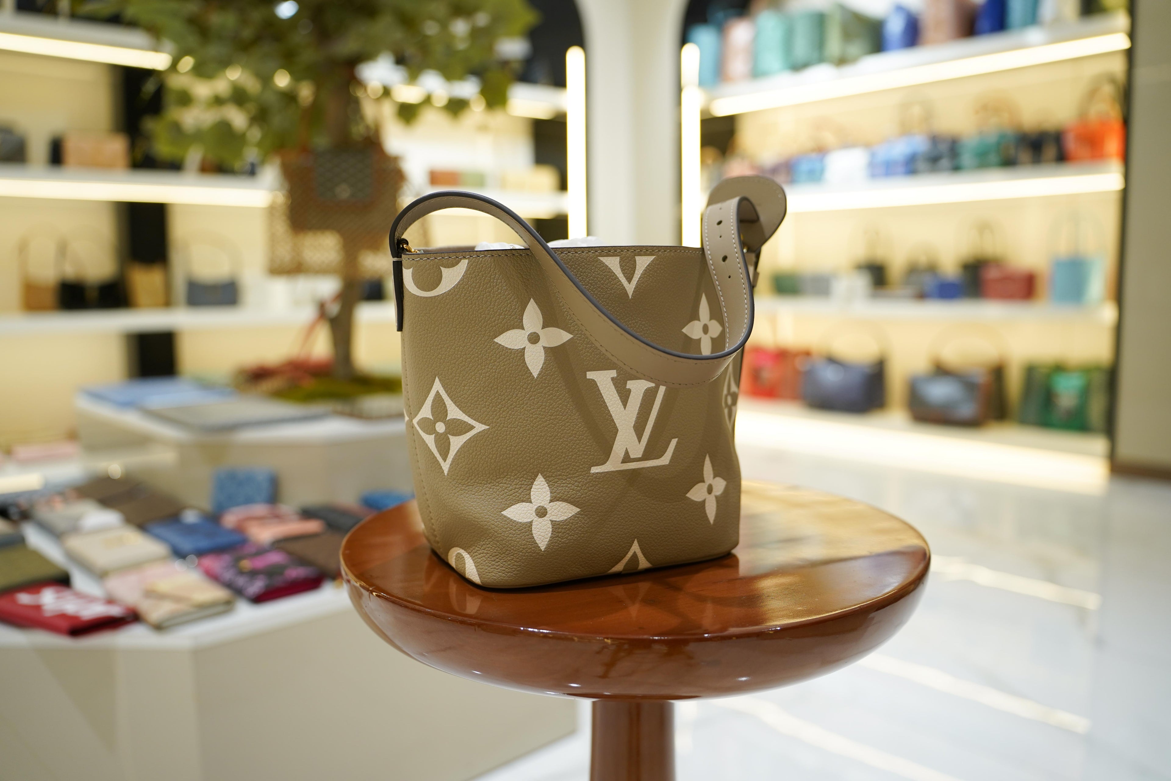 Louis Vuitton | Bucket Bag – Leather – Khaki – Gold Hardware