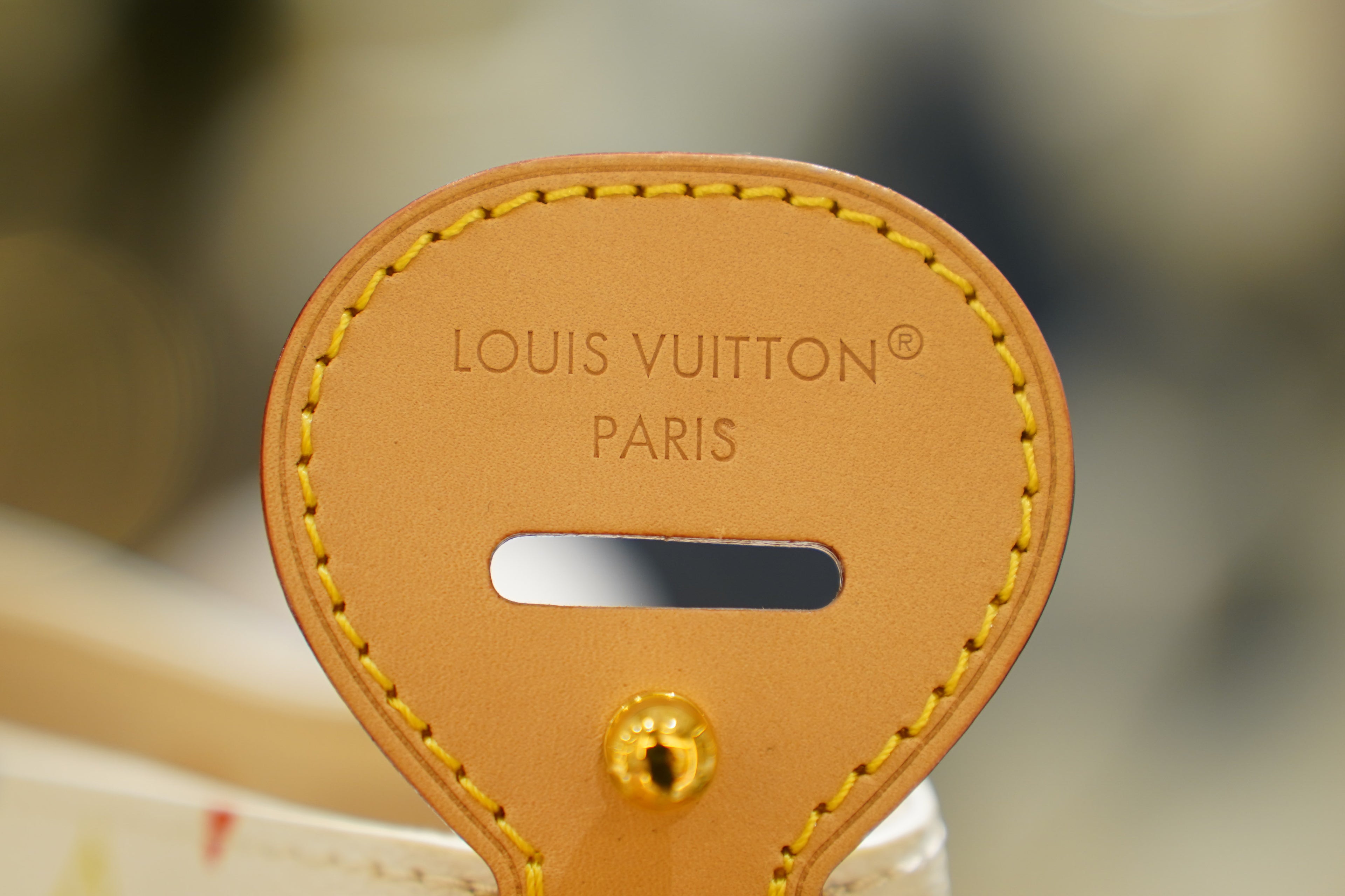 Louis Vuitton | Neverfull – Canvas – Multicolor – Gold Hardware