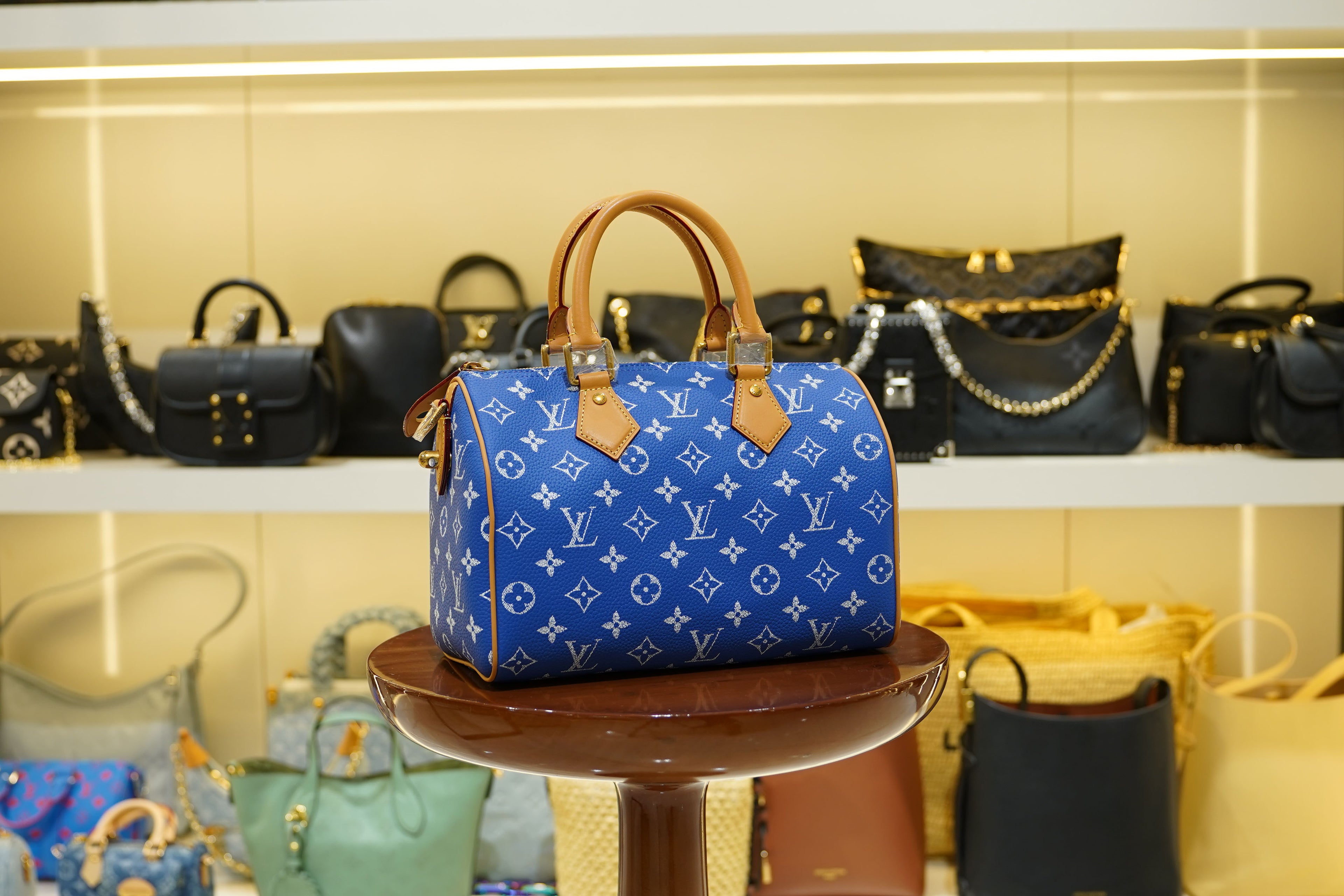 Louis Vuitton | Speedy – Canvas – Bleu – Gold Hardware