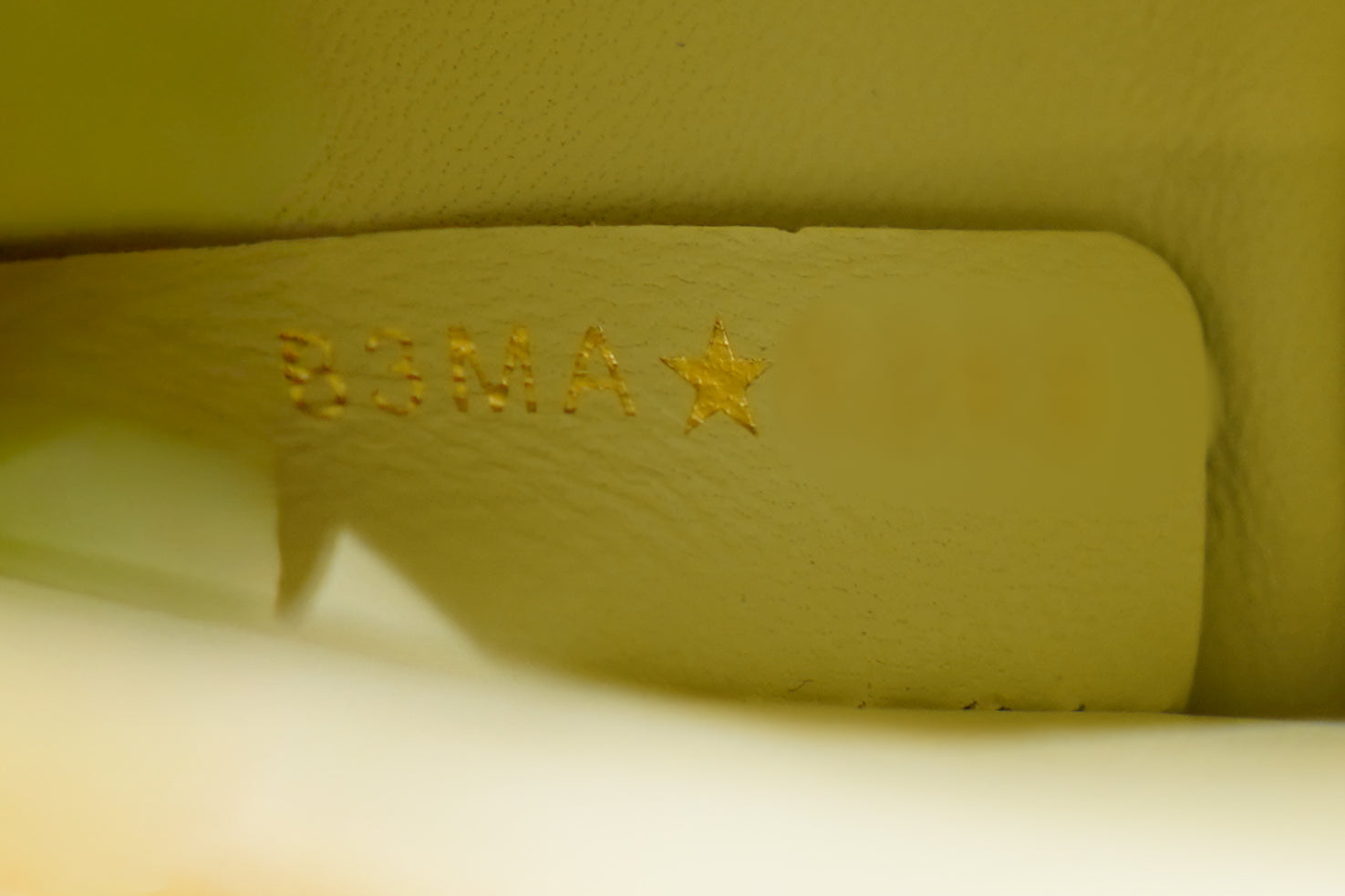 Dior | Miss Dior – Patent Leather – Light Green – Gold Hardware