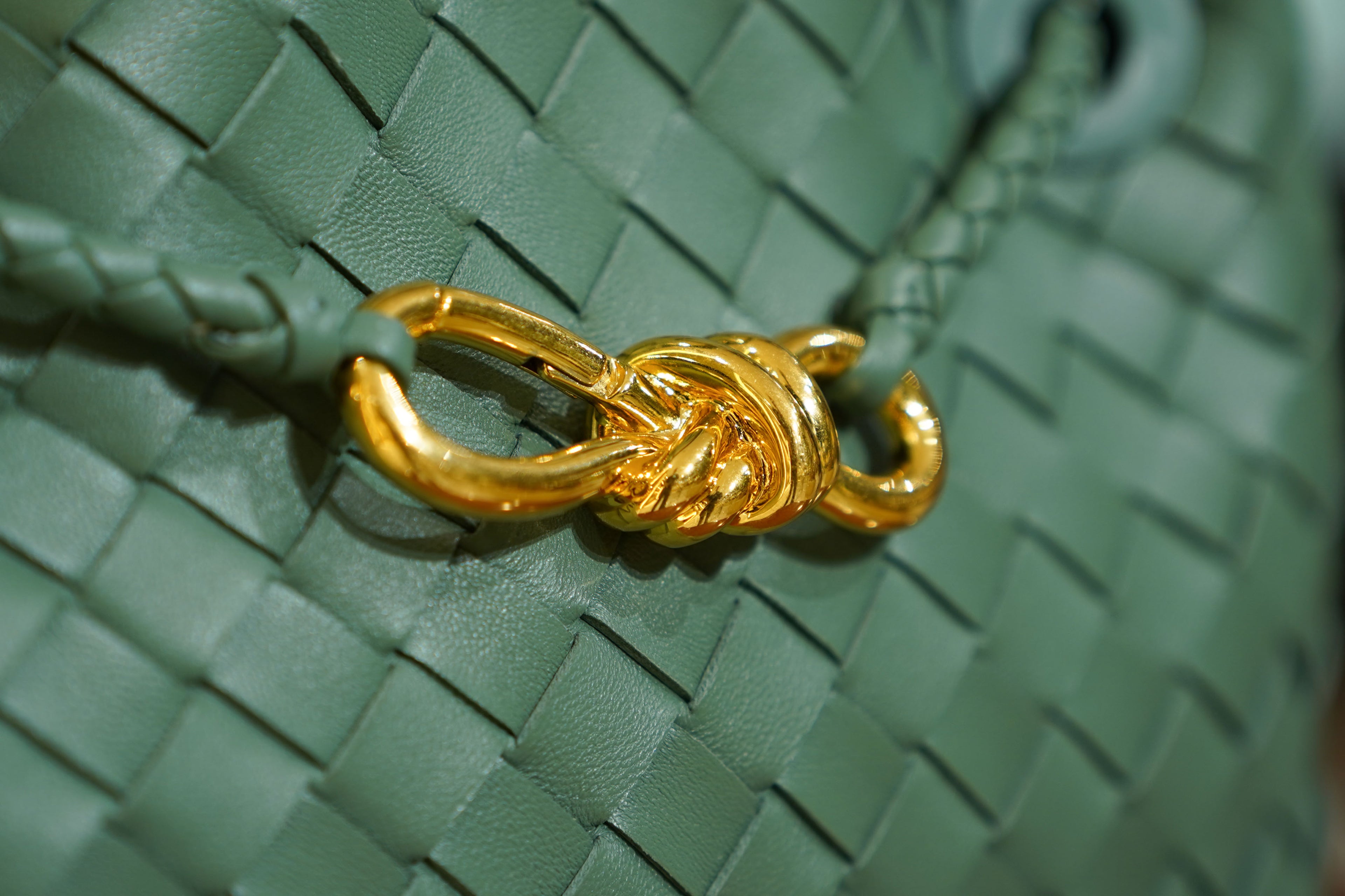 Bottega Veneta | Andiamo – Intrecciato – Verde Pino – Gold Hardware