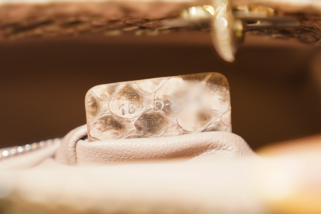 Dior | Lady Dior (Small) – Python – Brown – Silver Hardware