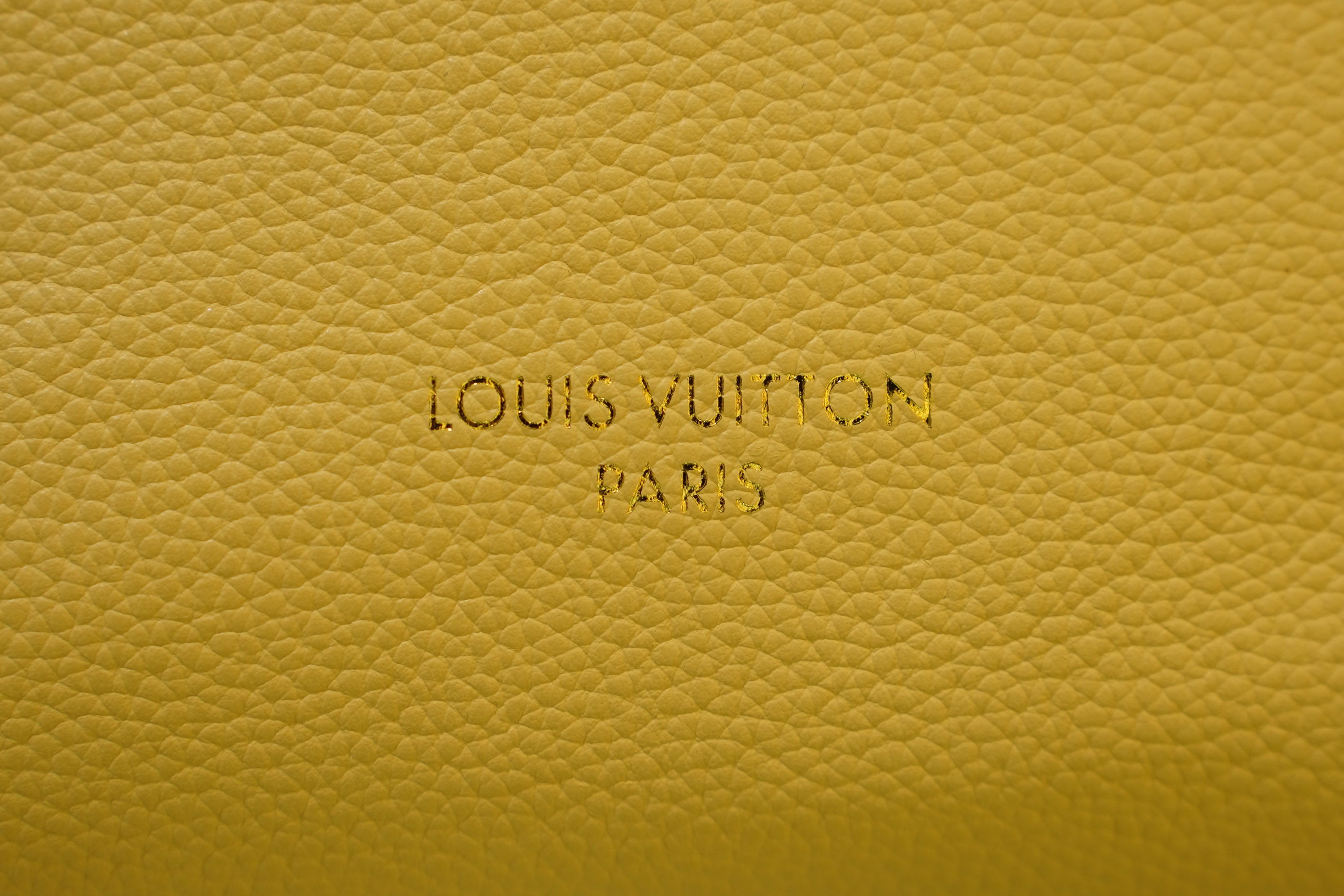 Louis Vuitton | Neverfull – Epi Leather – Jaune – Gold Hardware