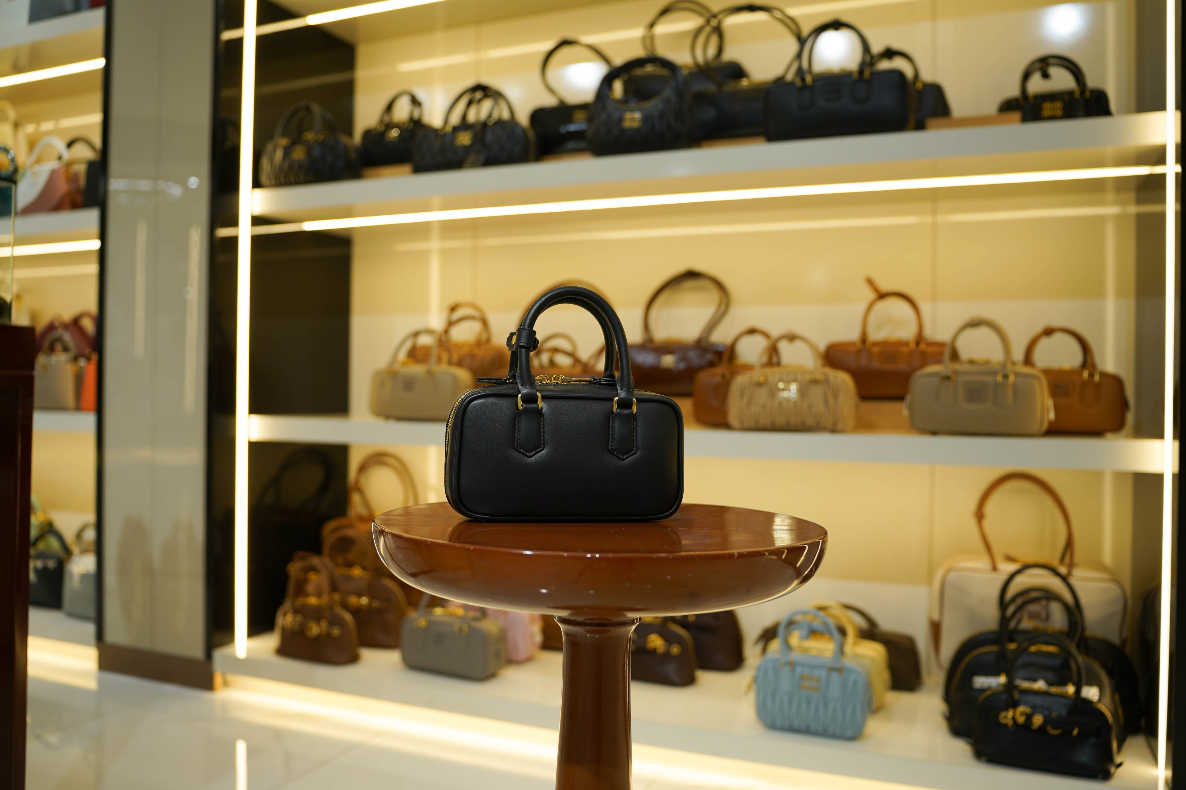 Miu Miu | Arcadie (Mini) – Leather – Black – Gold Hardware