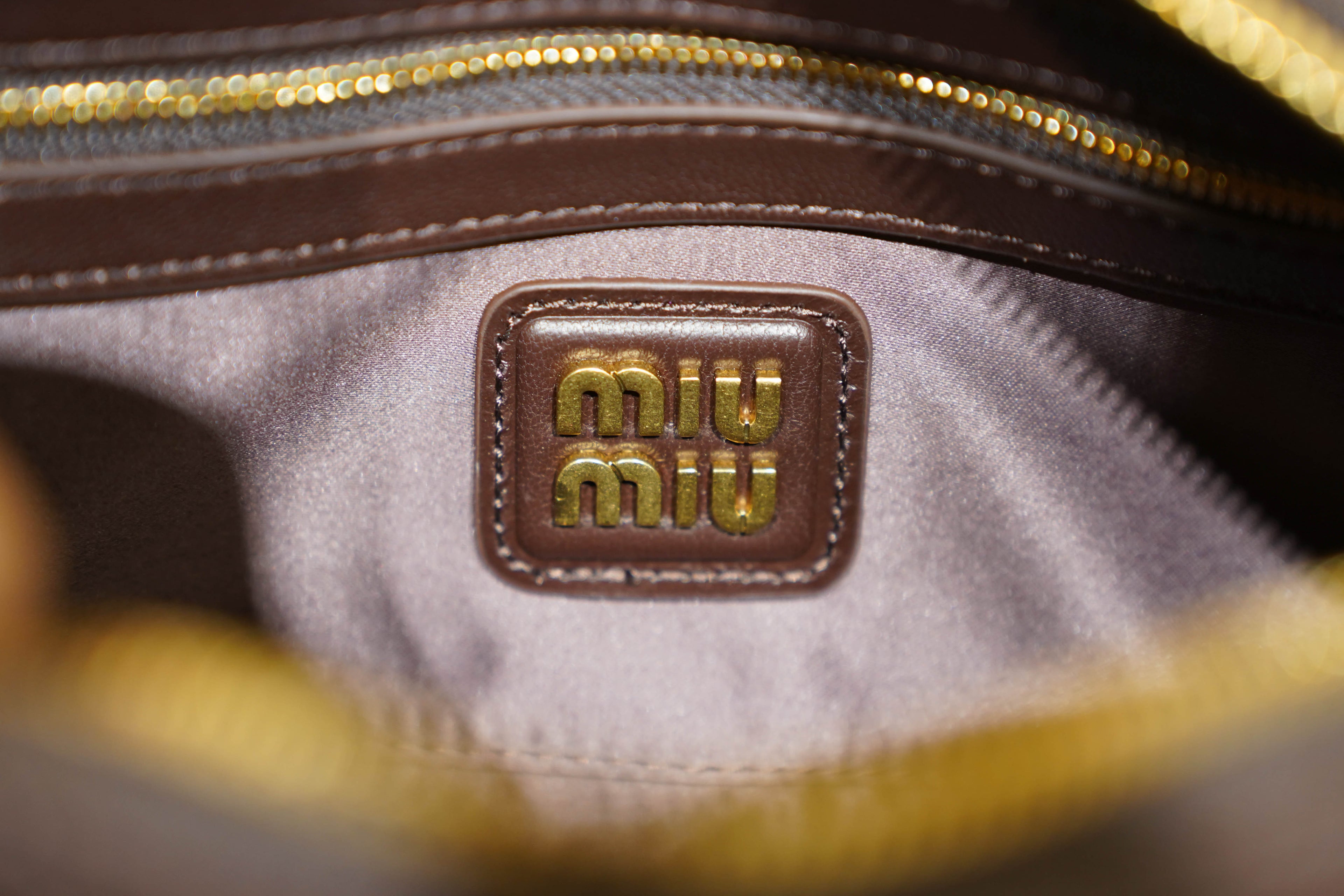 Miu Miu | Arcadie (Medium) – Leather – Brown – Gold Hardware