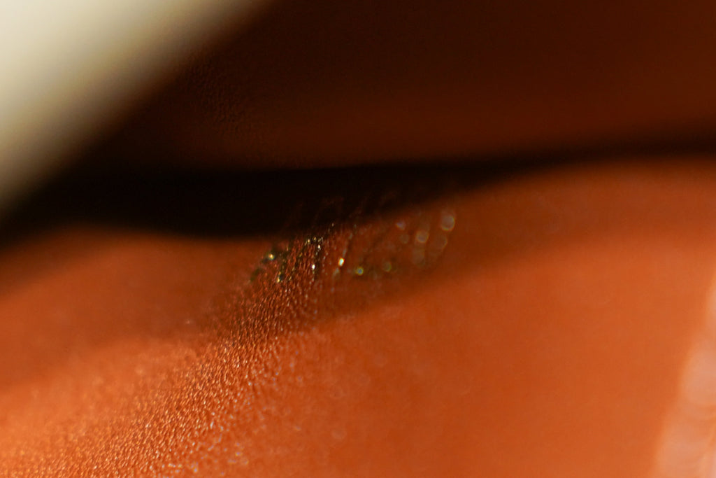 Louis Vuitton | Capucines Medium – Leather – Multicolor – Gold Hardware