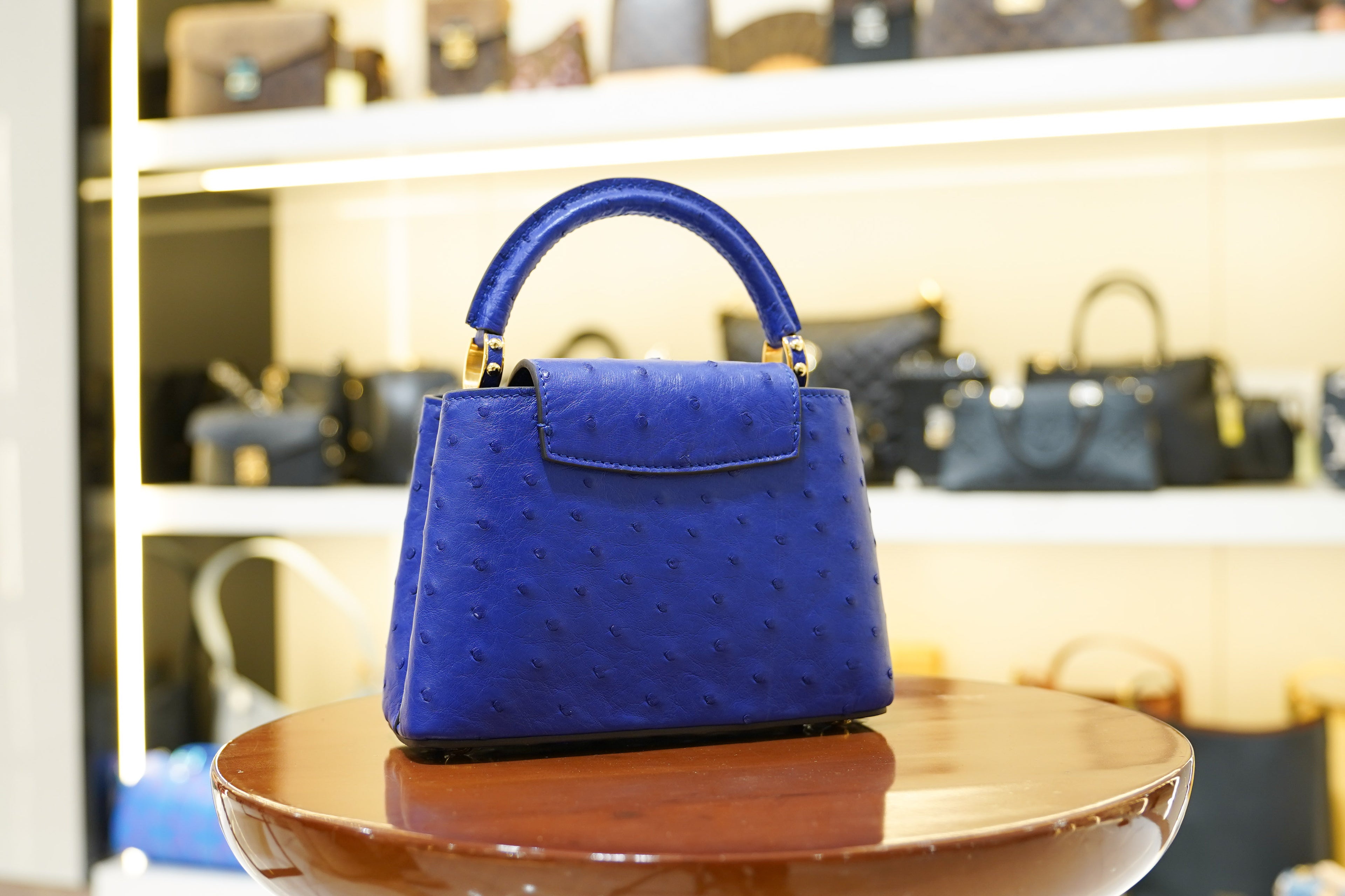 Louis Vuitton | Capucines Medium – Ostrich Leather – Blue – Gold Hardware