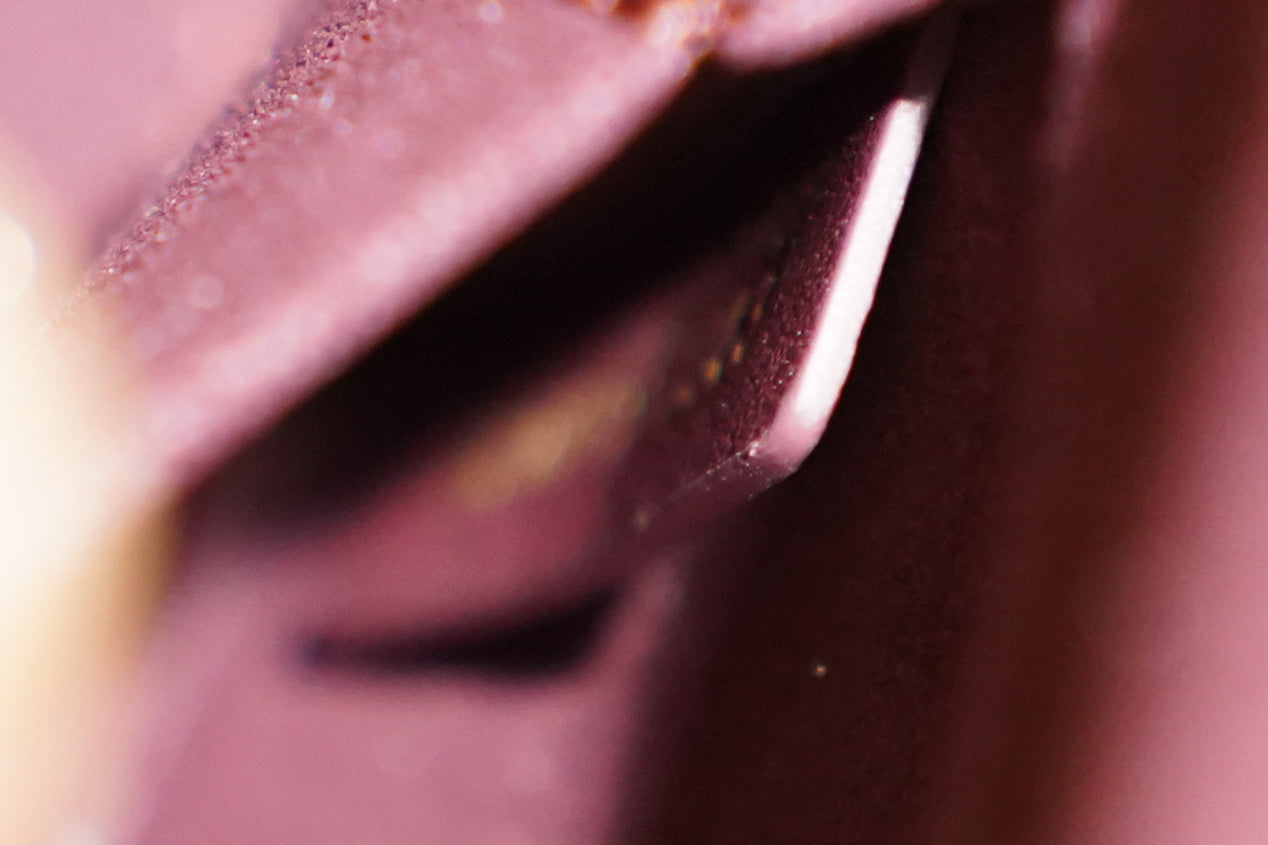 Dior | D-Joy Bag – Cannage Leather – Bordeaux – Gold Hardware