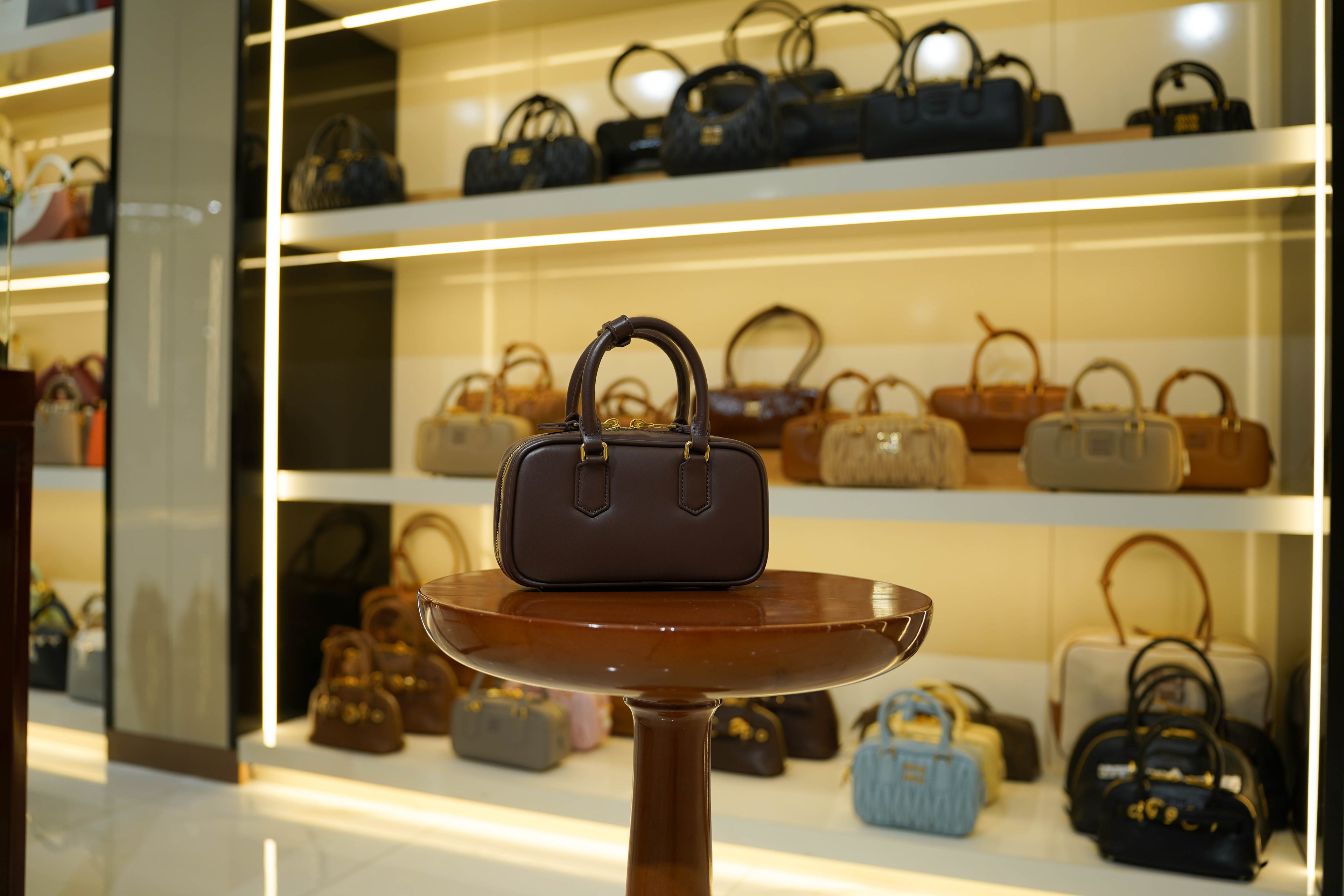 Miu Miu | Arcadie (Mini) – Leather – Brown – Gold Hardware