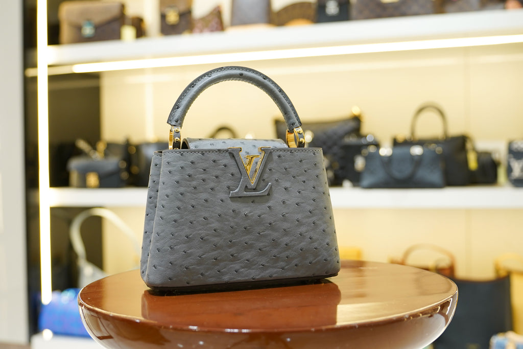 Louis Vuitton | Capucines Medium – Ostrich Leather – Grey – Gold Hardware