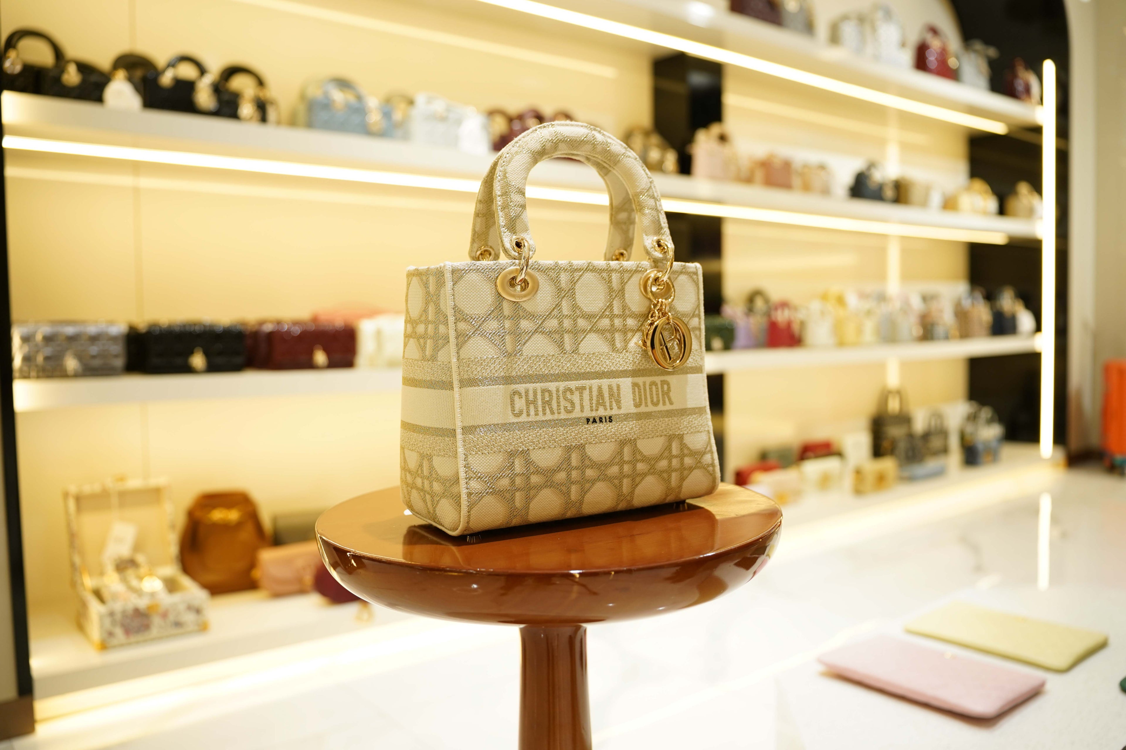 Dior | Lady Dior (Large) – Canvas – Beige – Gold Hardware