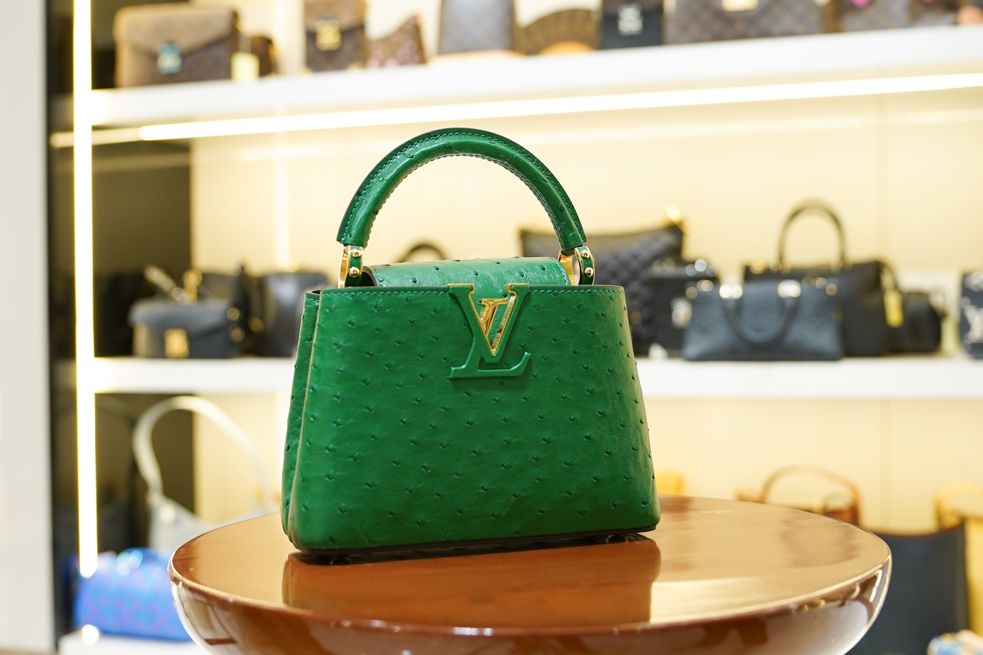 Louis Vuitton | Capucines Medium – Ostrich Leather – Green – Gold Hardware