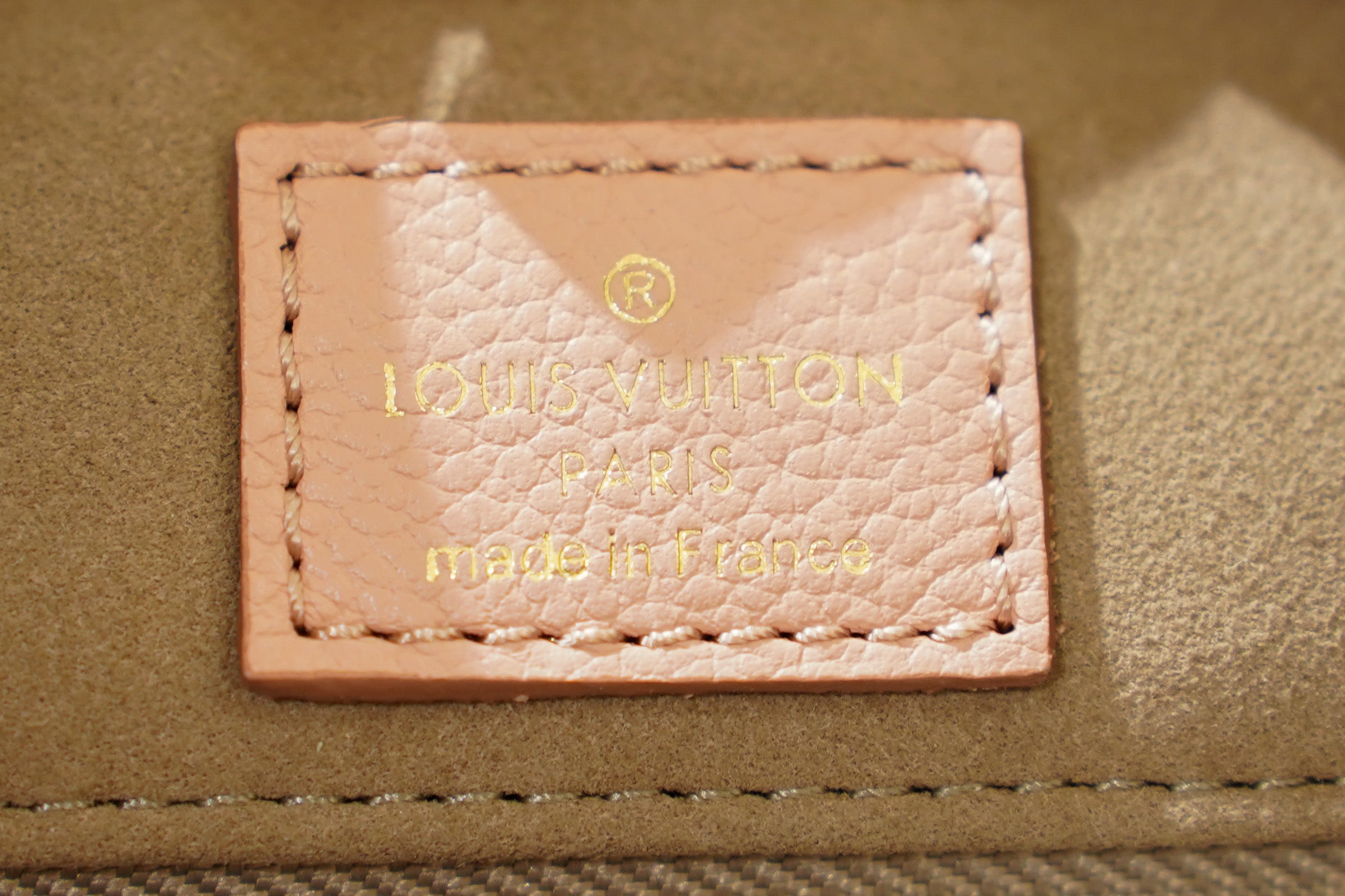 Louis Vuitton | Hobo Bag – Canvas – Rose Ballerine – Gold Hardware