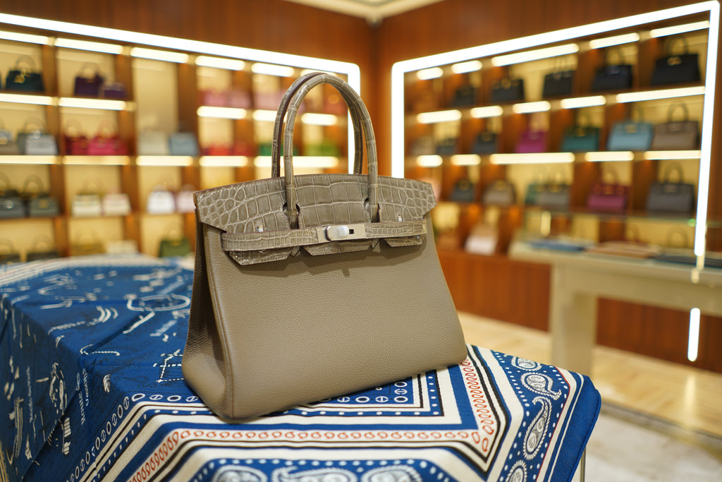 Hermes | Birkin 30 – Touch – Togo & Niloticus Crocodile – Taupe – Palladium Hardware