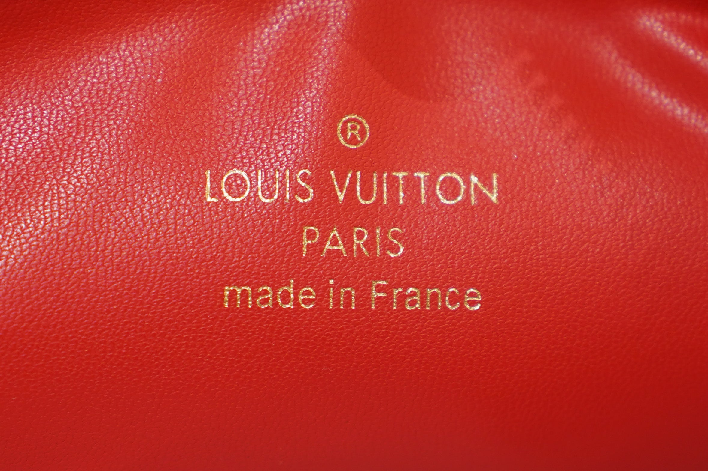 Louis Vuitton | Coussin Medium – Leather – Silver – Gold Hardware