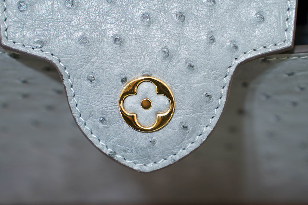 Louis Vuitton | Capucines Medium – Ostrich Leather – Grey – Gold Hardware