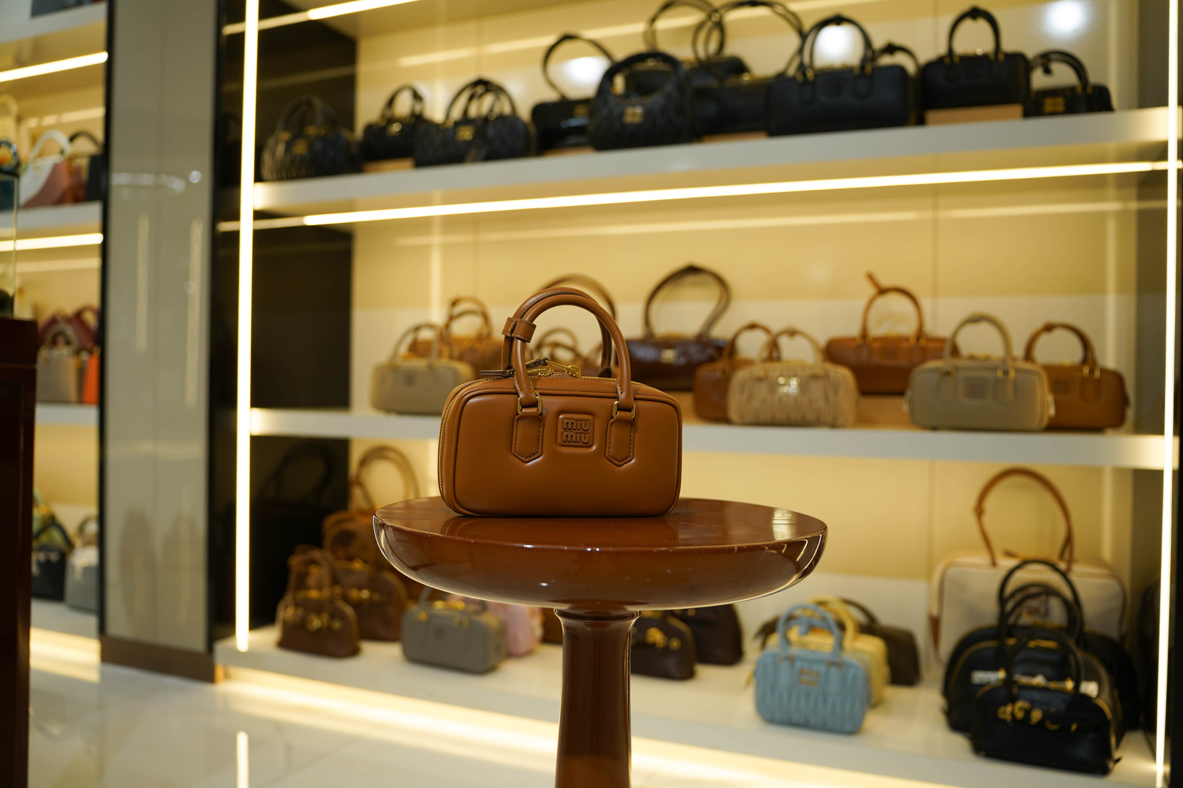 Miu Miu | Arcadie (Mini) – Leather – Brown – Gold Hardware