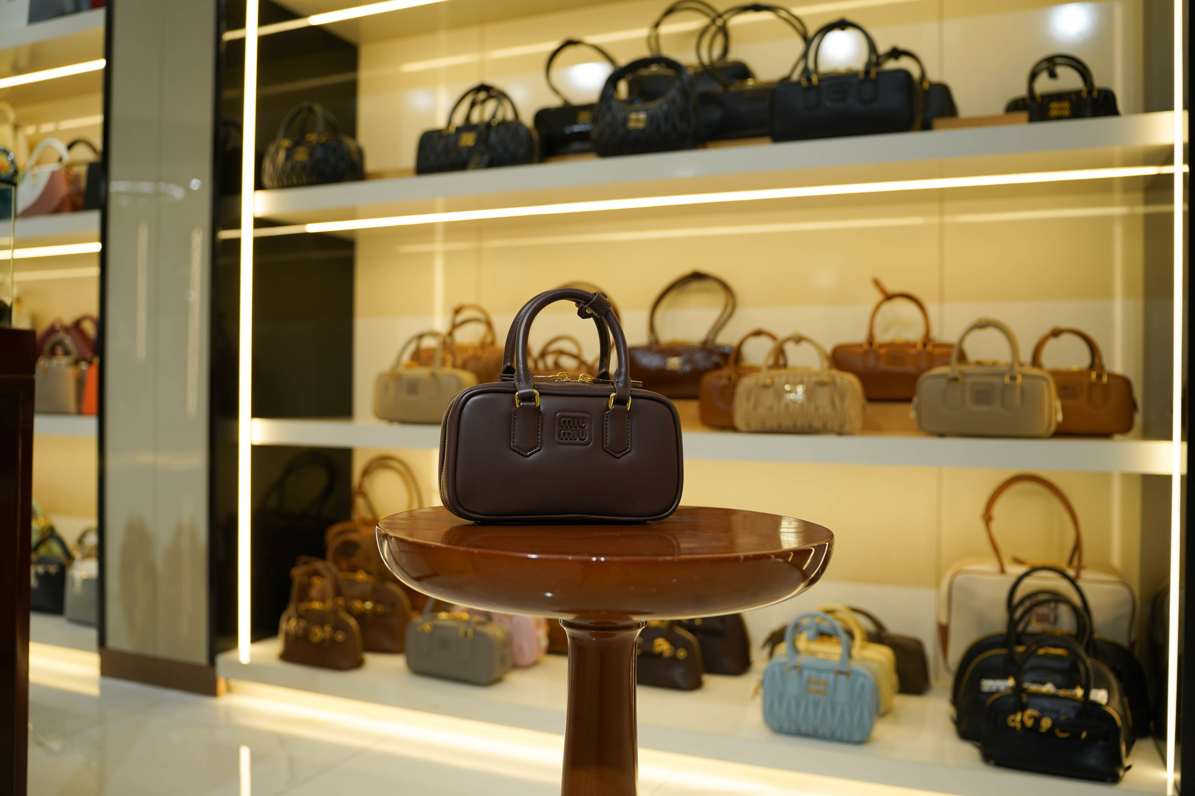 Miu Miu | Arcadie (Mini) – Leather – Brown – Gold Hardware