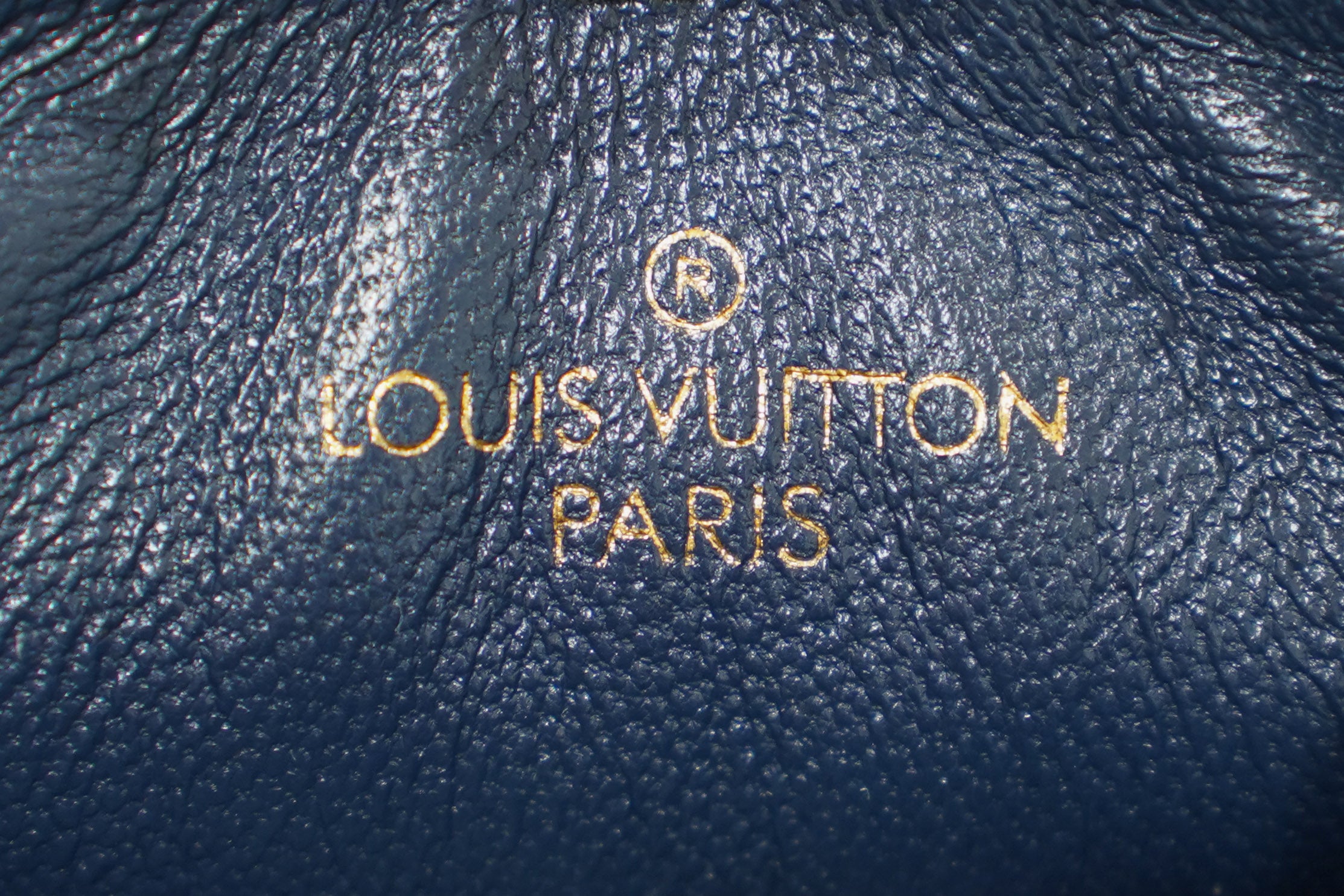 Louis Vuitton | Coussin-Small – Leather – Brown – Gold Hardware