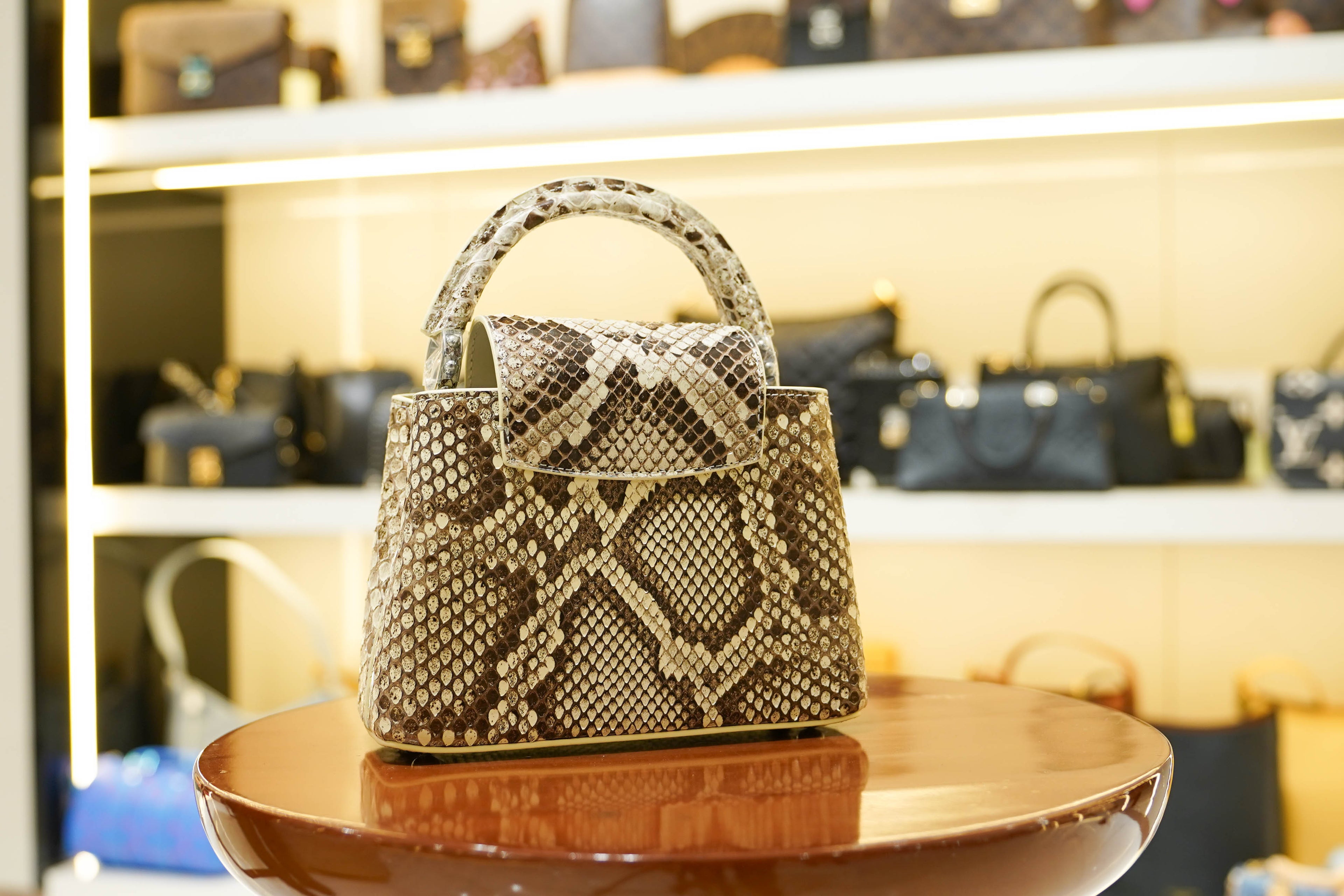 Louis Vuitton | Capucines Medium – Python – Brown – Silver Hardware