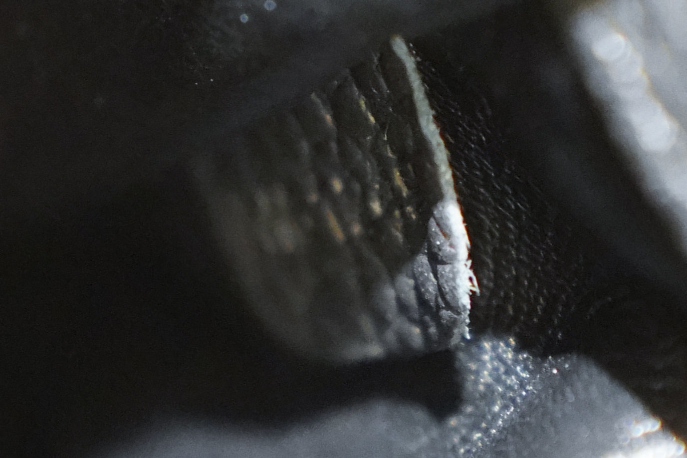 Louis Vuitton | Capucines – Leather – Black – Gold Hardware