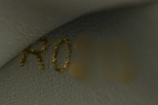 Louis Vuitton | Capucines Medium – Leather – Grey – Gold Hardware