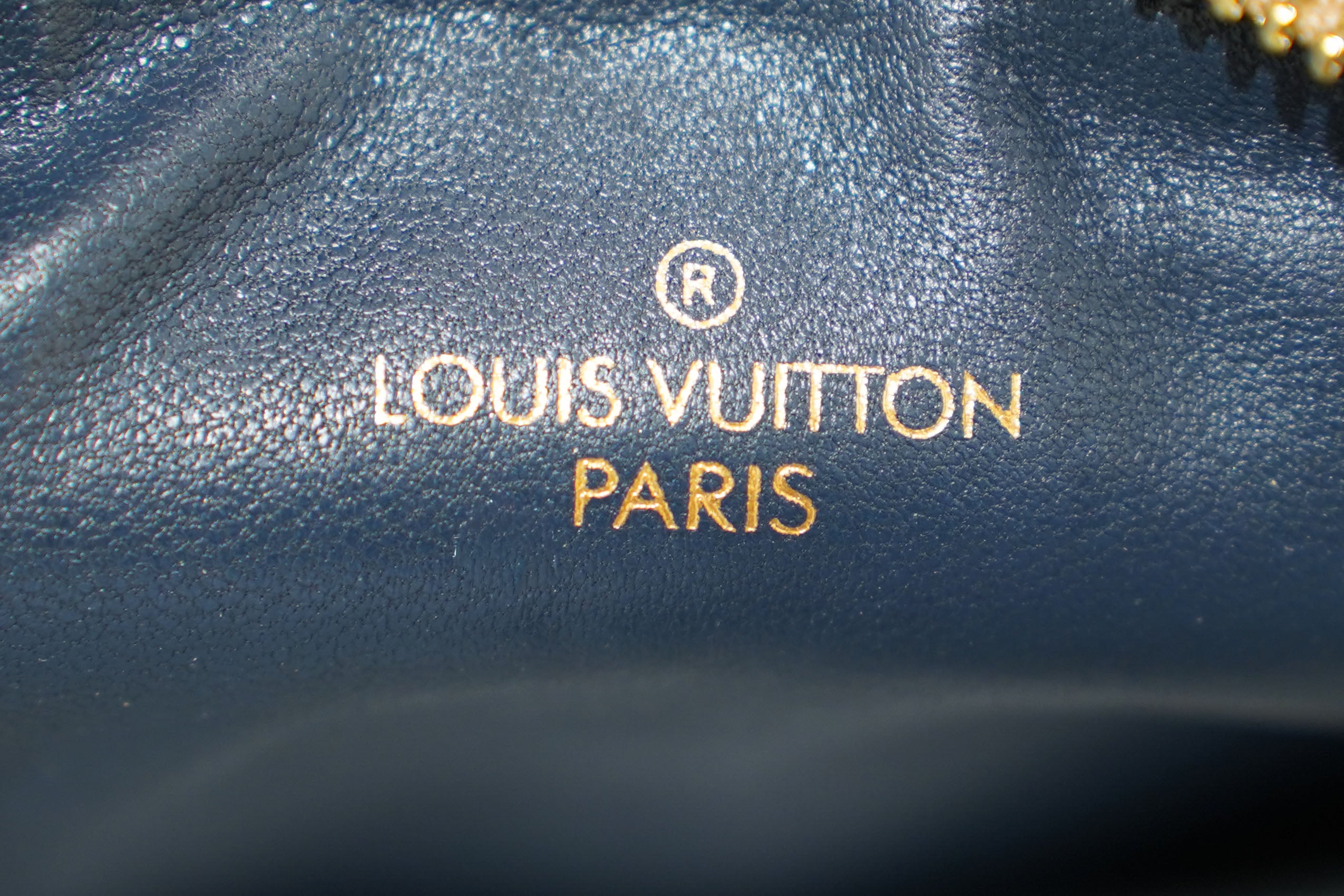 Louis Vuitton | Coussin-Small – Leather – Brown – Gold Hardware