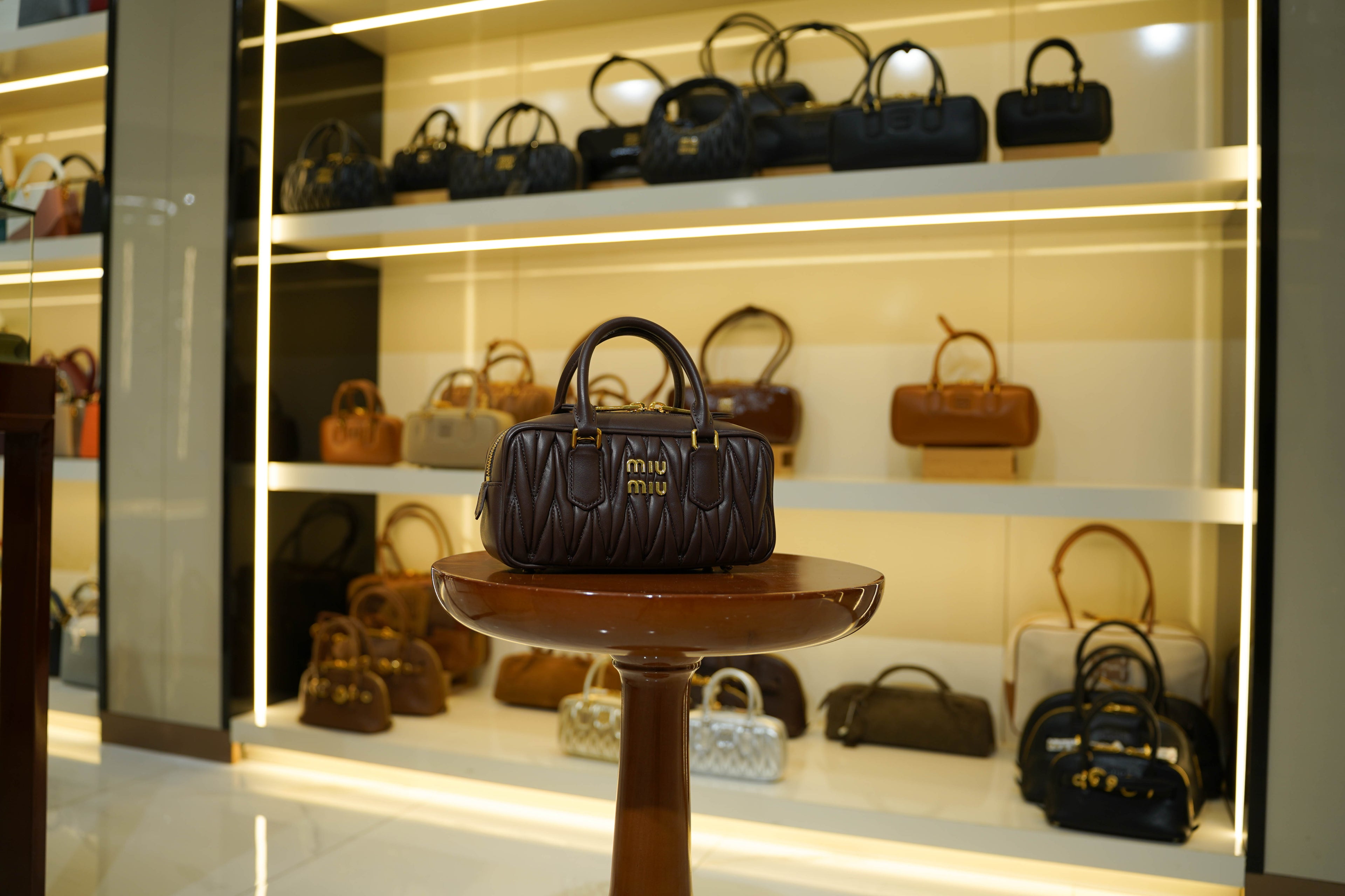 Miu Miu | Arcadie (Medium) – Leather – Brown – Gold Hardware