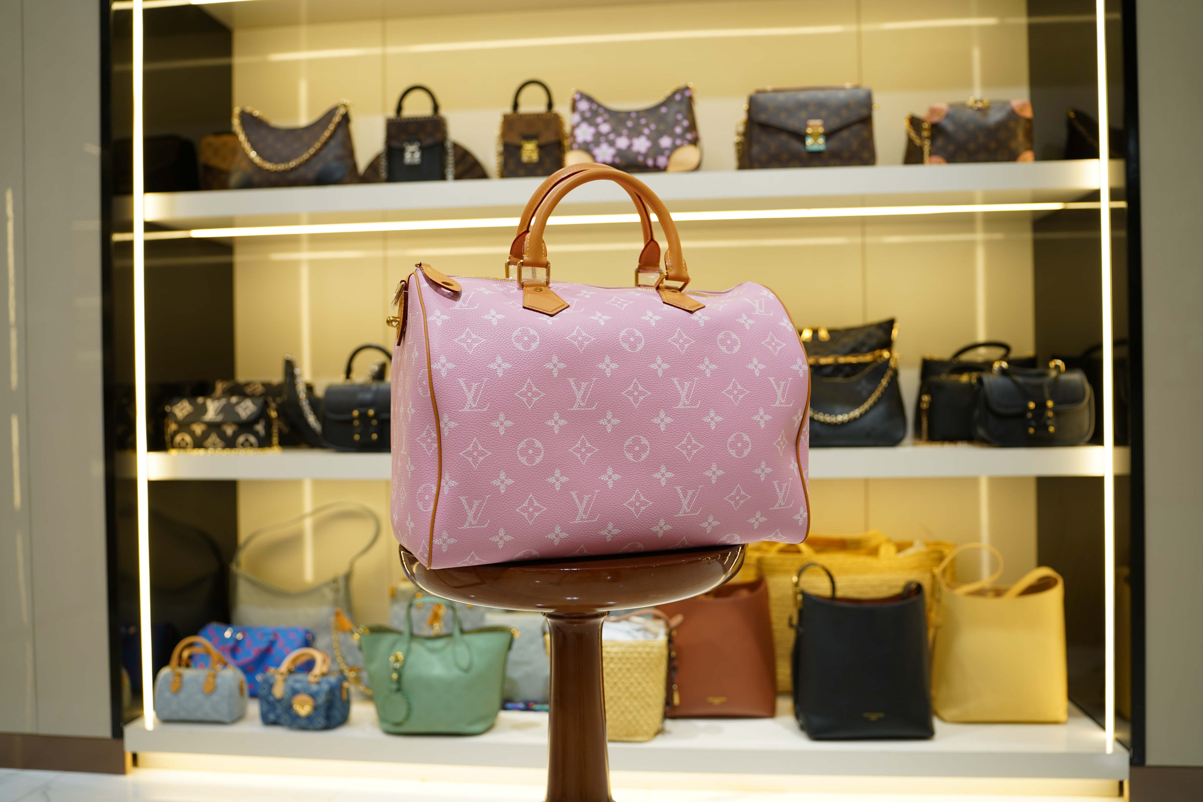 Louis Vuitton | Speedy – Canvas – Rose Ballerine – Gold Hardware