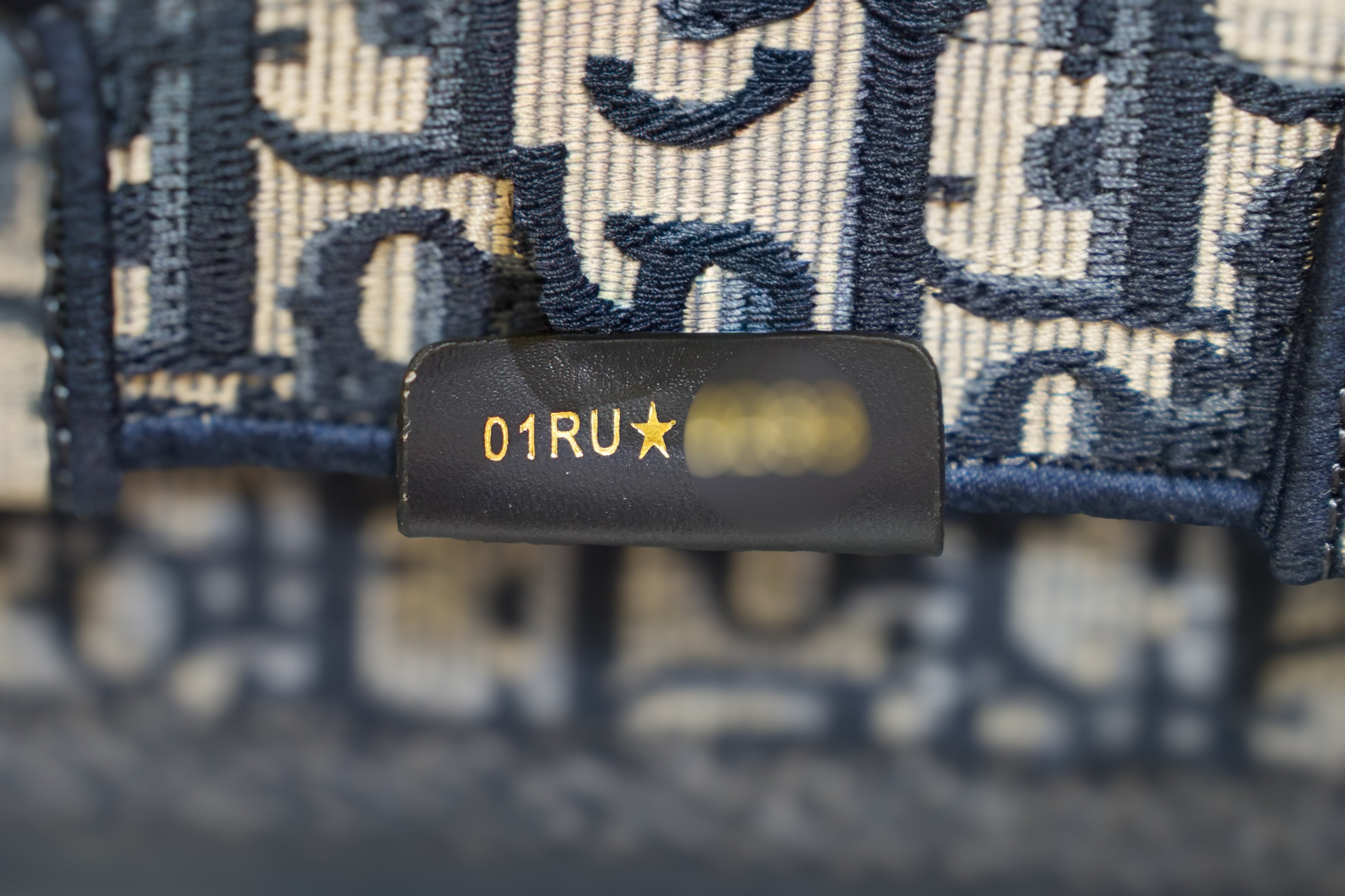 Dior | Book Tote – Canvas – Navy Blue – Gold Hardware