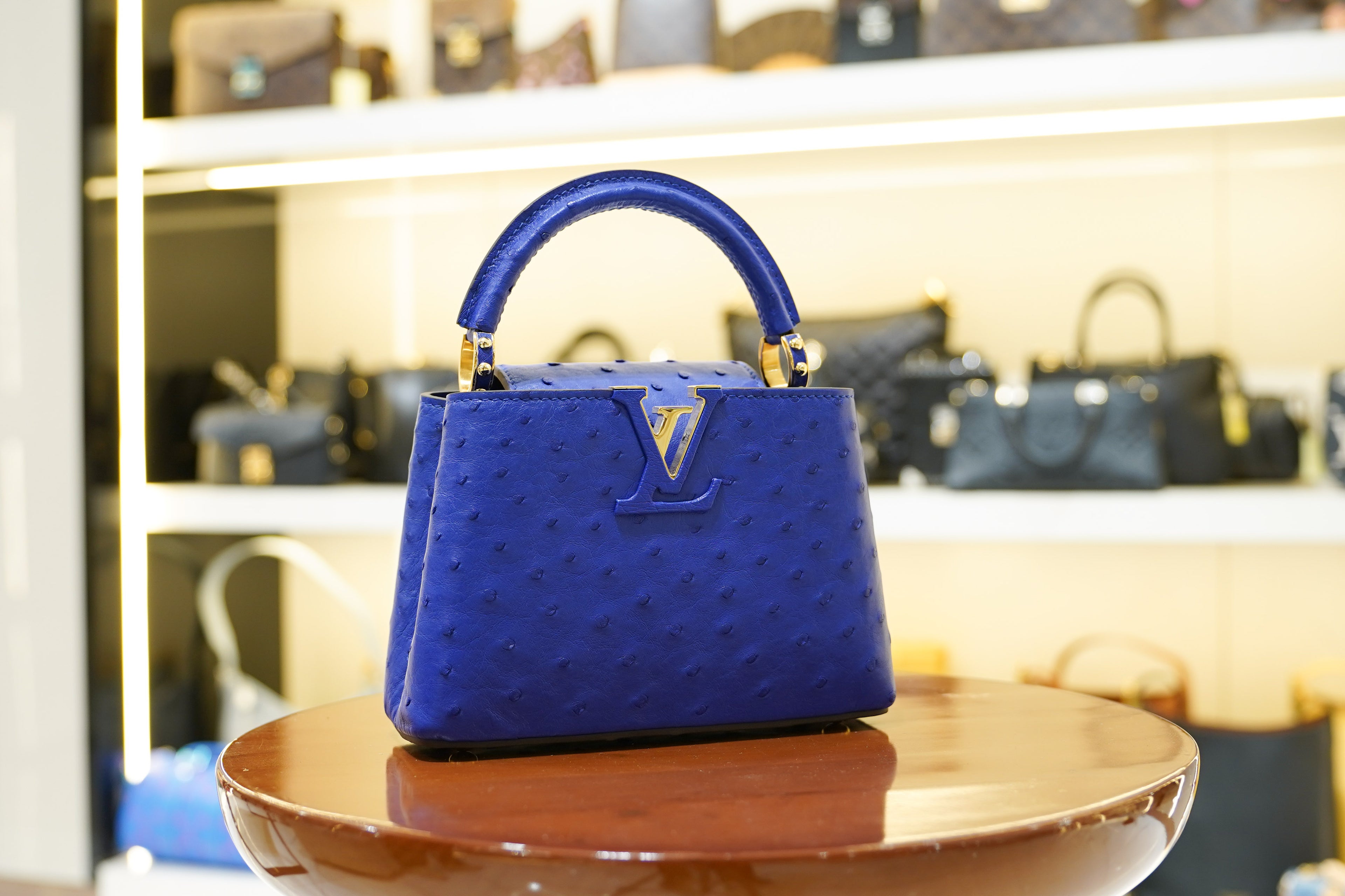 Louis Vuitton | Capucines Medium – Ostrich Leather – Blue – Gold Hardware